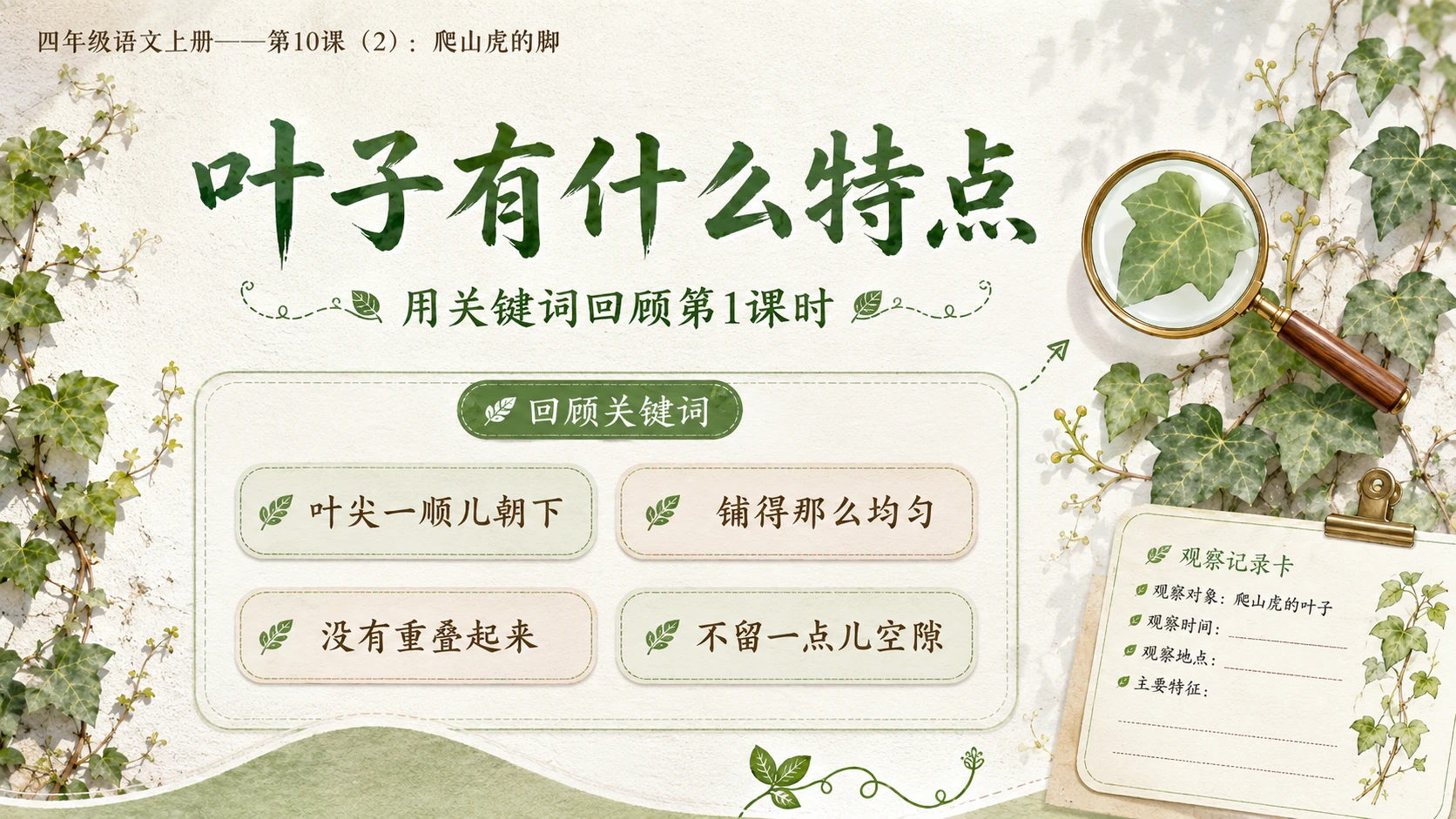 小学六年制统编教材系列课件——四年级语文上册第10课（2）：爬山虎的脚 - 预览图2