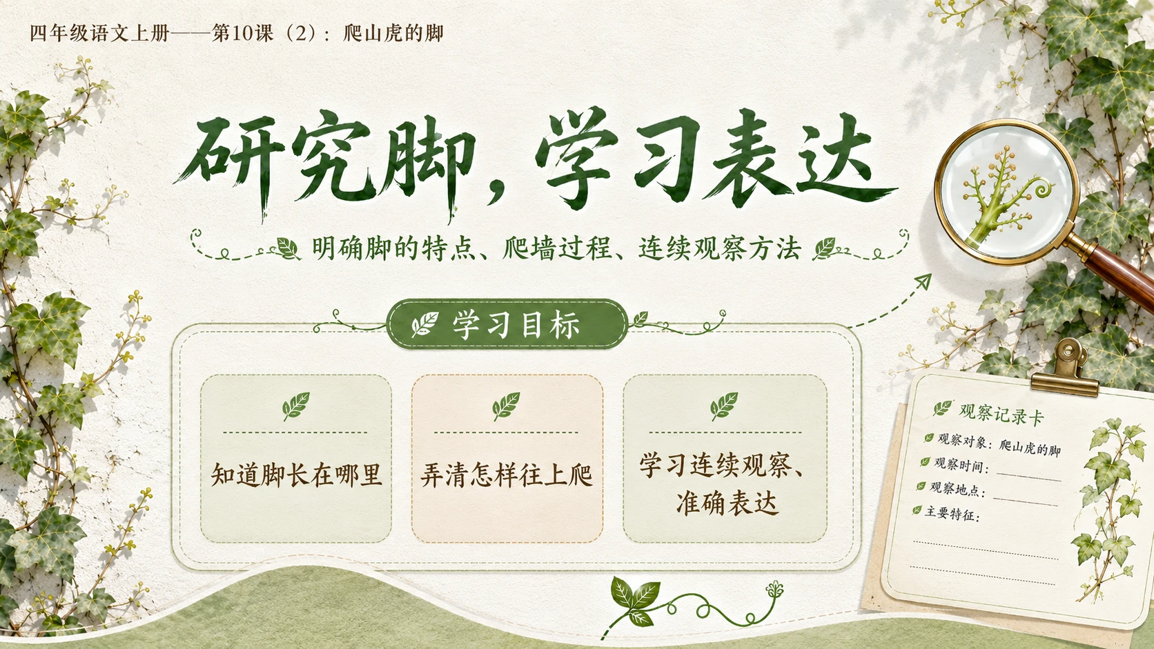 小学六年制统编教材系列课件——四年级语文上册第10课（2）：爬山虎的脚 - 预览图3