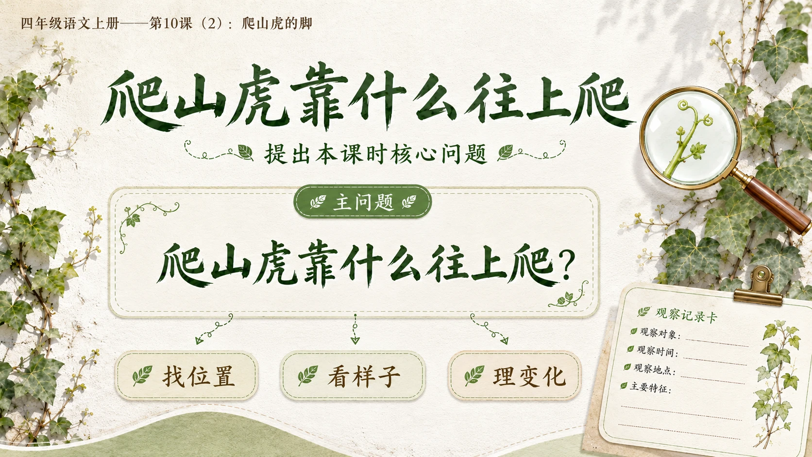小学六年制统编教材系列课件——四年级语文上册第10课（2）：爬山虎的脚 - 预览图4
