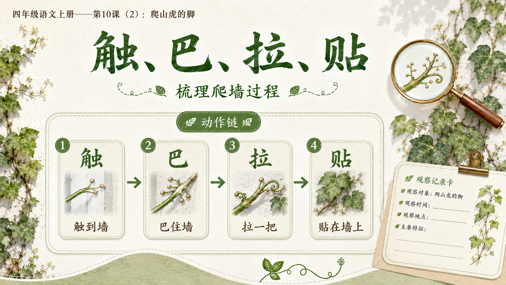 小学六年制统编教材系列课件——四年级语文上册第10课（2）：爬山虎的脚 - 预览图9