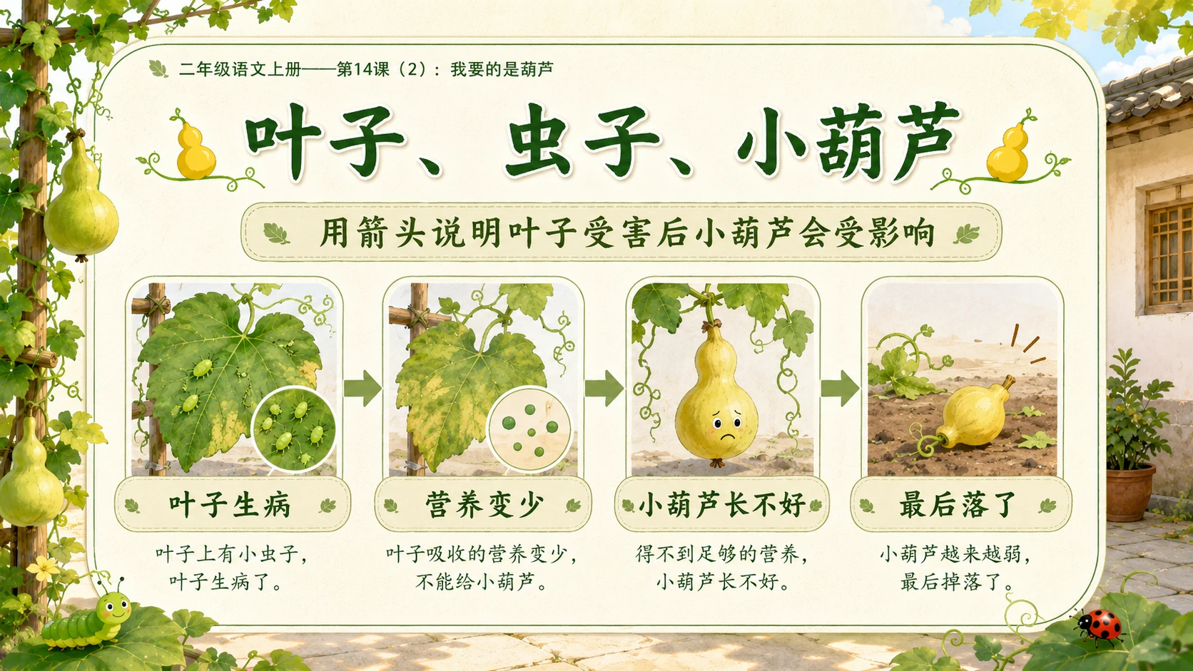 小学六年制统编教材系列课件——二年级语文上册第14课（2）：我要的是葫芦 - 预览图9