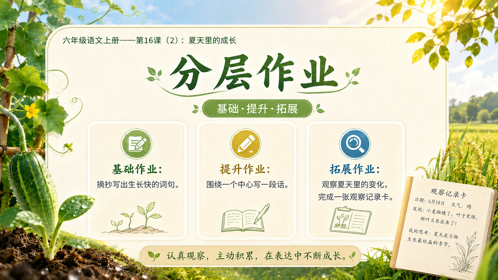 小学六年制统编教材系列课件——六年级语文上册第16课（2）：夏天里的成长 - 预览图17