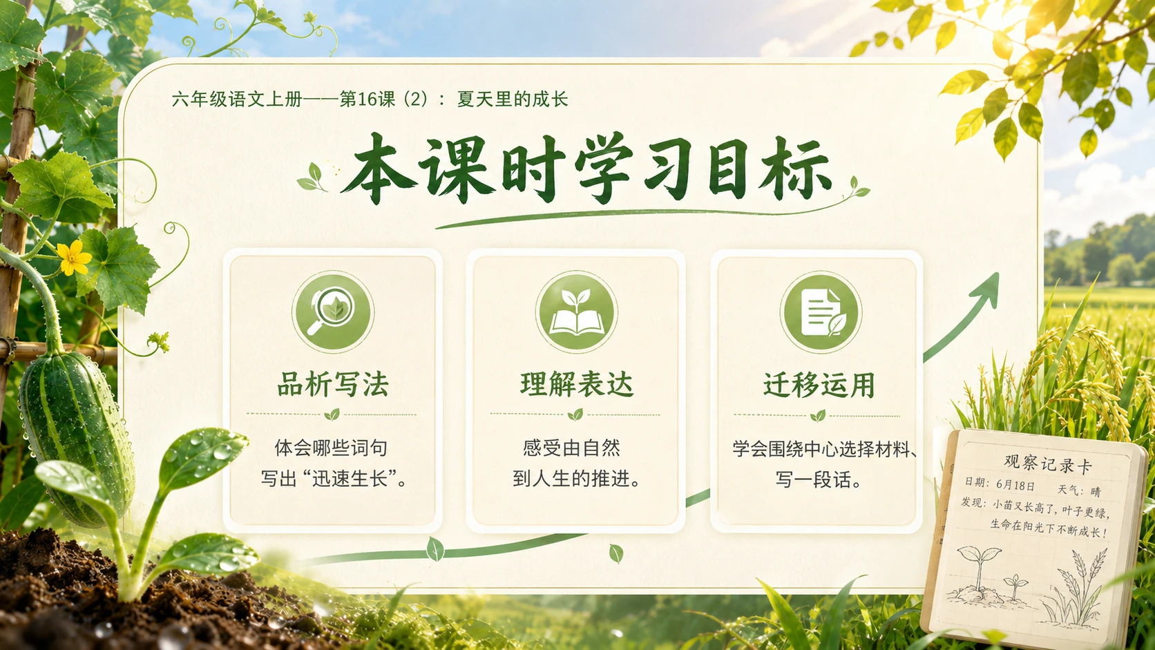 小学六年制统编教材系列课件——六年级语文上册第16课（2）：夏天里的成长 - 预览图3
