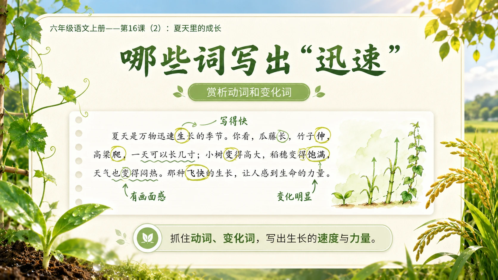 小学六年制统编教材系列课件——六年级语文上册第16课（2）：夏天里的成长 - 预览图4