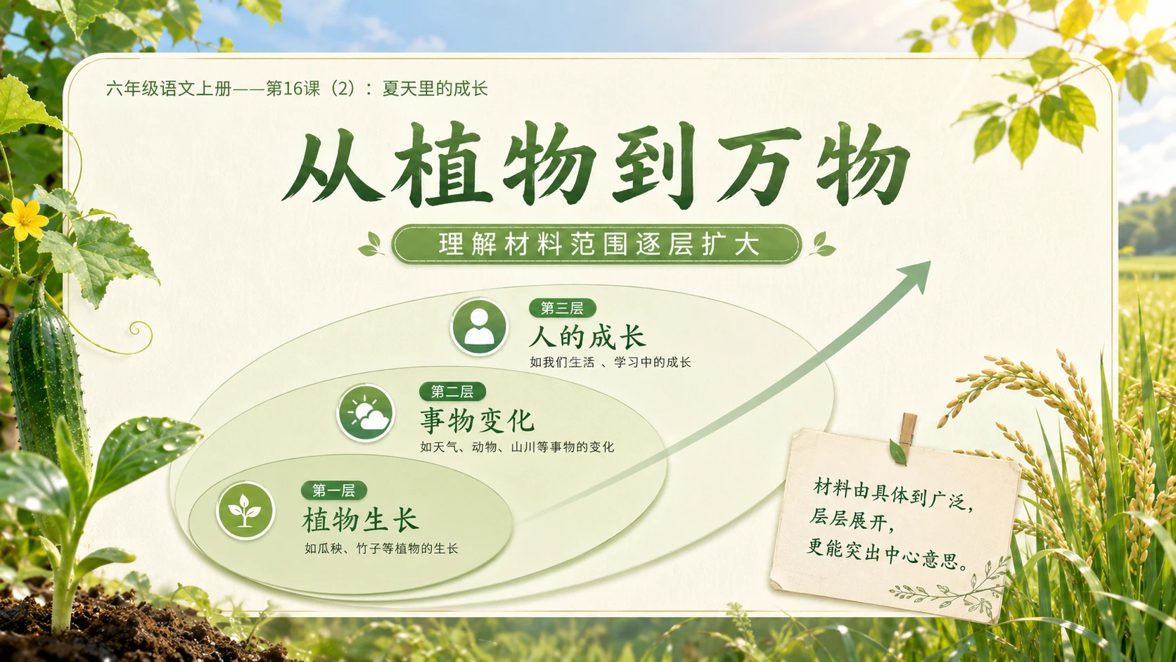 小学六年制统编教材系列课件——六年级语文上册第16课（2）：夏天里的成长 - 预览图5
