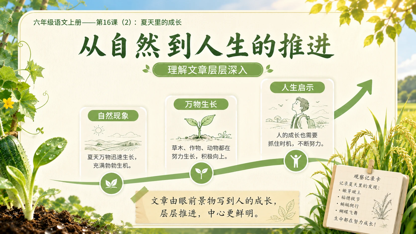 小学六年制统编教材系列课件——六年级语文上册第16课（2）：夏天里的成长 - 预览图10