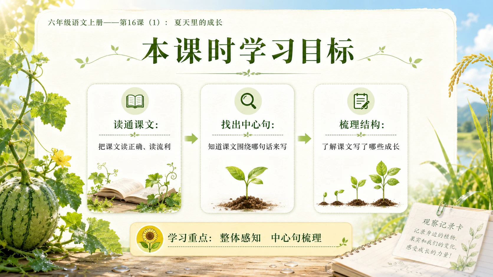 小学六年制统编教材系列课件——六年级语文上册第16课（1）：夏天里的成长 - 预览图3