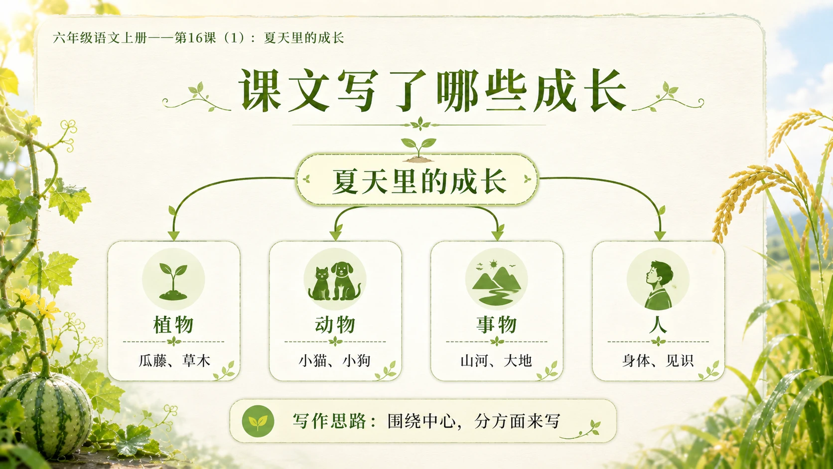 小学六年制统编教材系列课件——六年级语文上册第16课（1）：夏天里的成长 - 预览图7