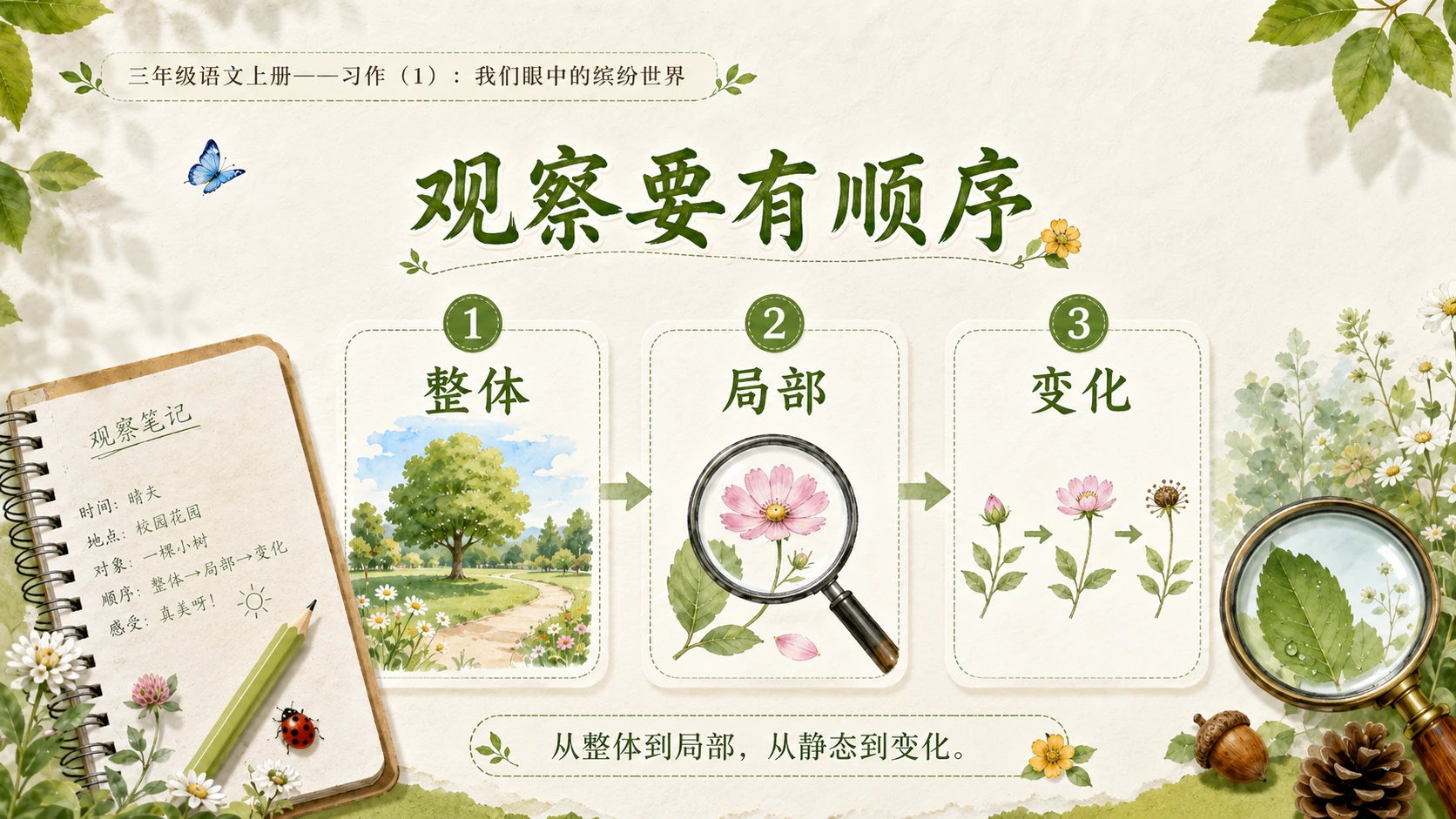 小学六年制统编教材系列课件——三年级语文上册：我们眼中的缤纷世界（1） - 预览图7