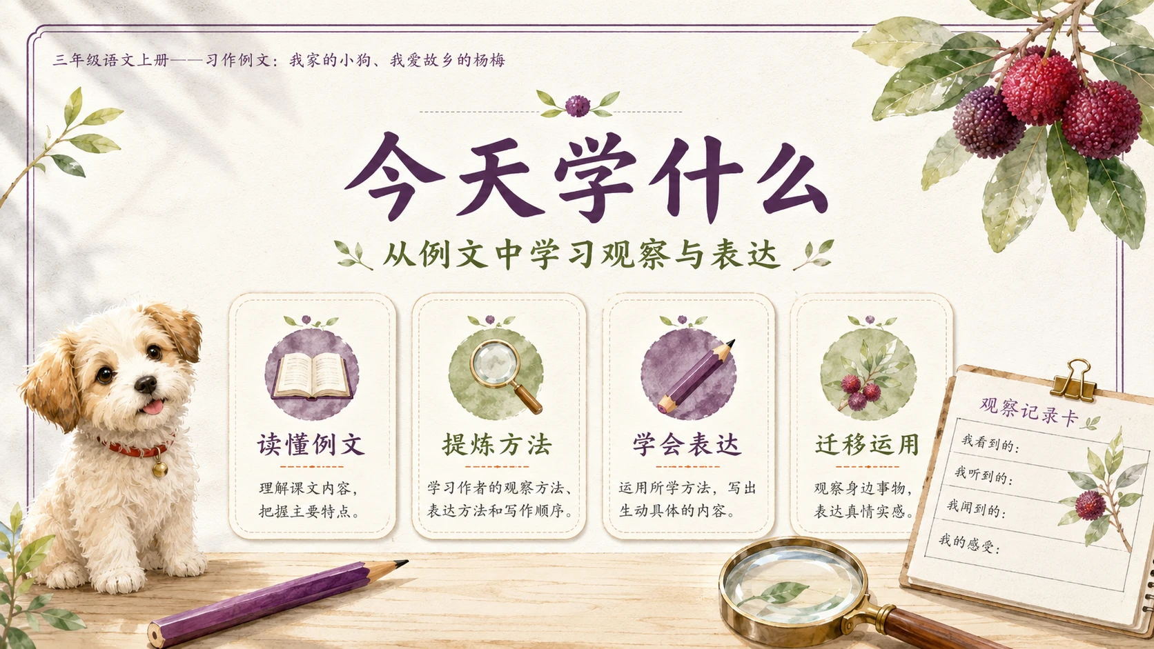 小学六年制统编教材系列课件——三年级语文上册习作例文：我家的小狗、我爱故乡的杨梅 - 预览图2