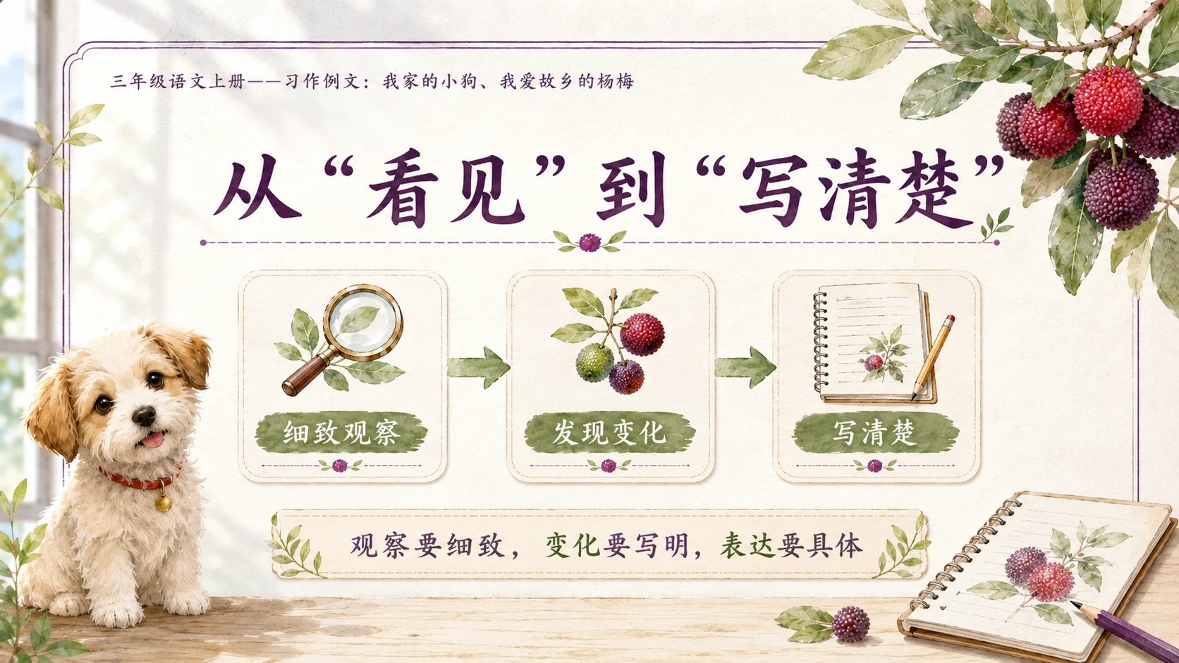 小学六年制统编教材系列课件——三年级语文上册习作例文：我家的小狗、我爱故乡的杨梅 - 预览图3