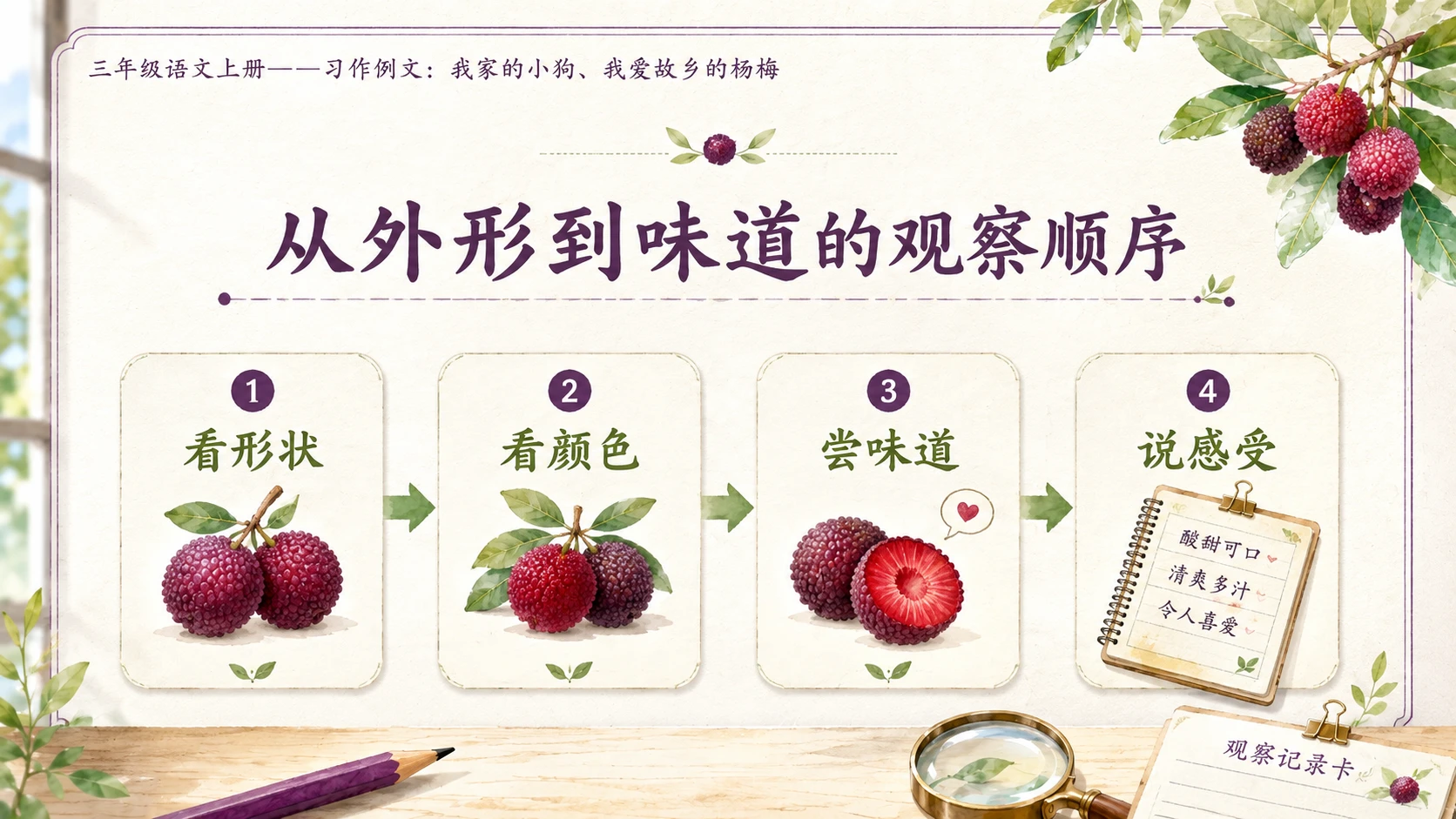小学六年制统编教材系列课件——三年级语文上册习作例文：我家的小狗、我爱故乡的杨梅 - 预览图10