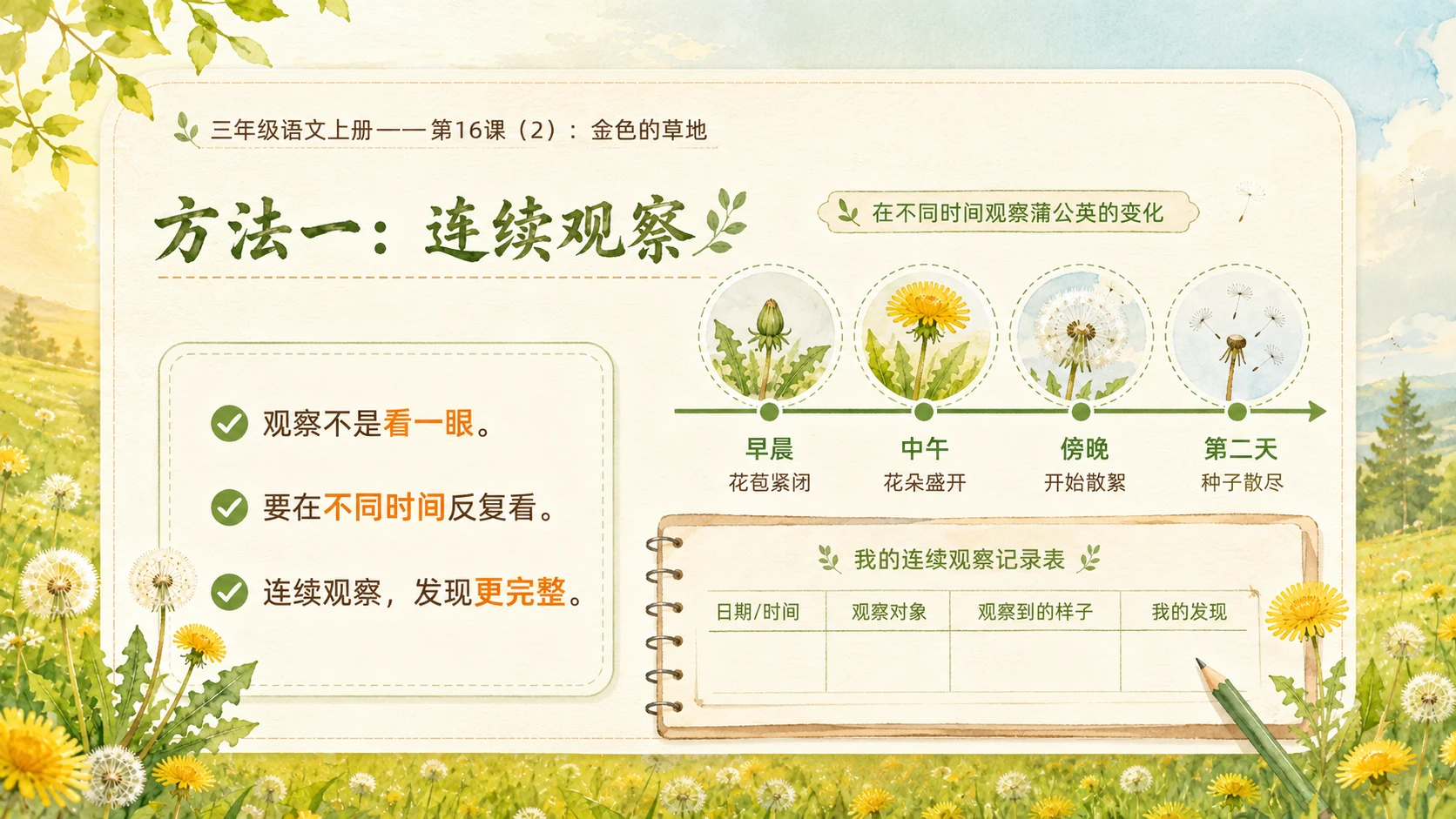 小学六年制统编教材系列课件——三年级语文上册第16课（2）：金色的草地 - 预览图9