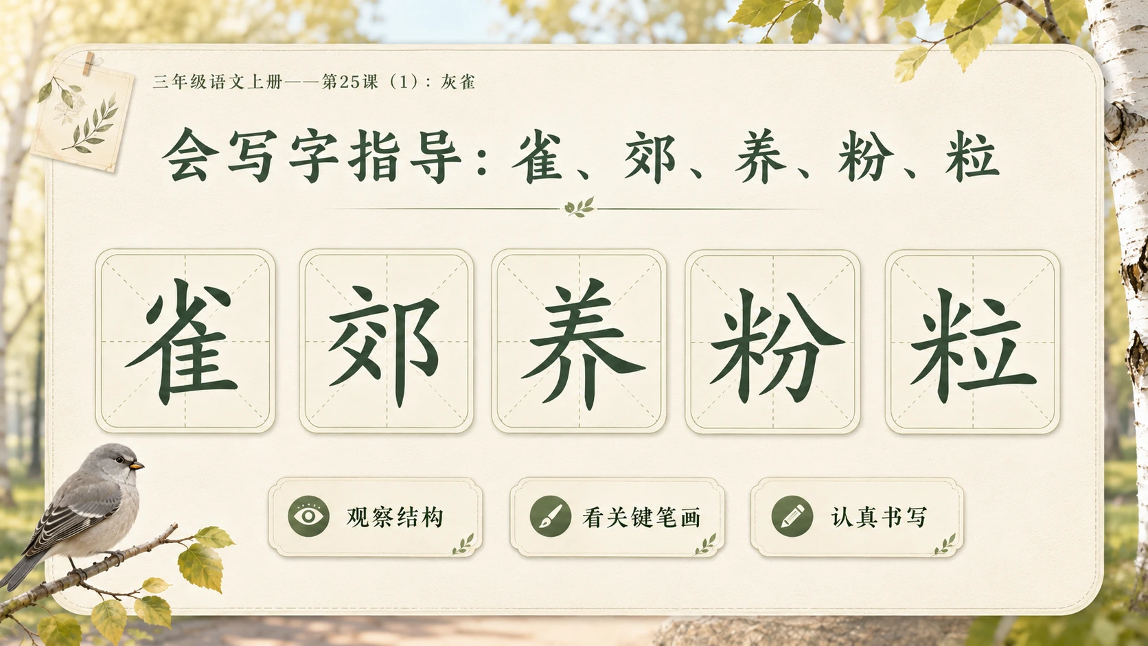 小学六年制统编教材系列课件——三年级语文上册第25课（1）：灰雀 - 预览图6