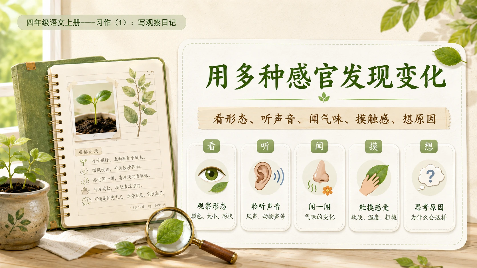 小学六年制统编教材系列课件——四年级语文上册：习作：写观察日记（1） - 预览图6