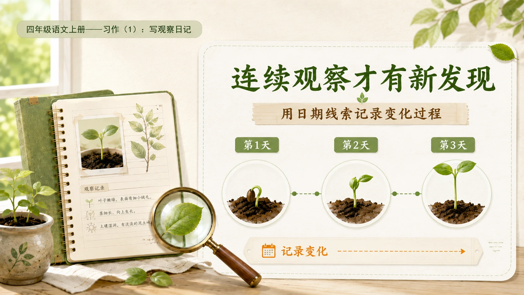 小学六年制统编教材系列课件——四年级语文上册：习作：写观察日记（1） - 预览图7