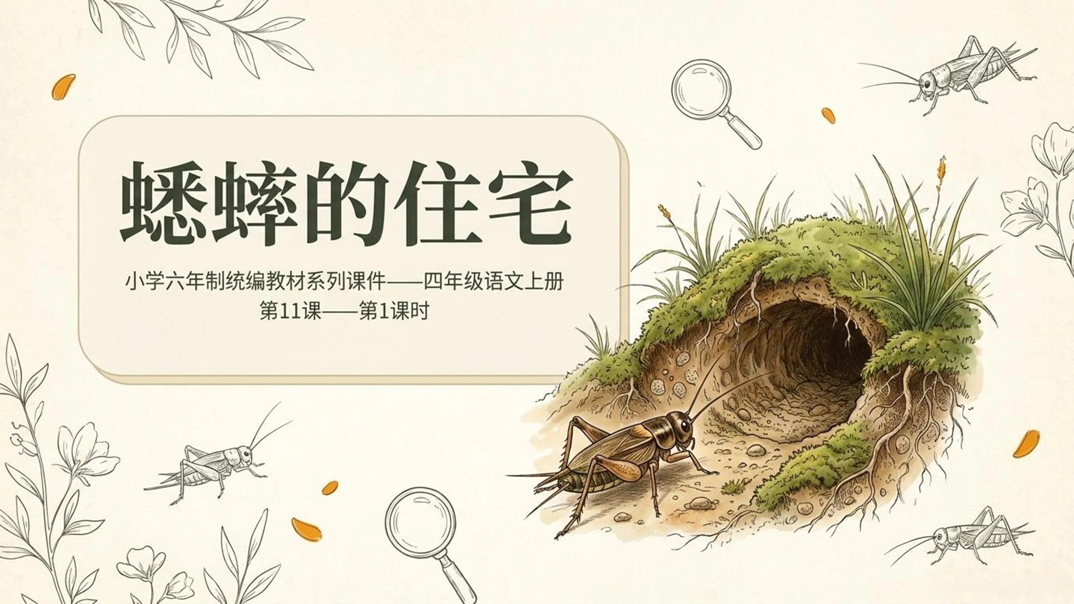 小学六年制统编教材系列课件——四年级语文上册第11课（1）：蟋蟀的住宅 - 预览图1