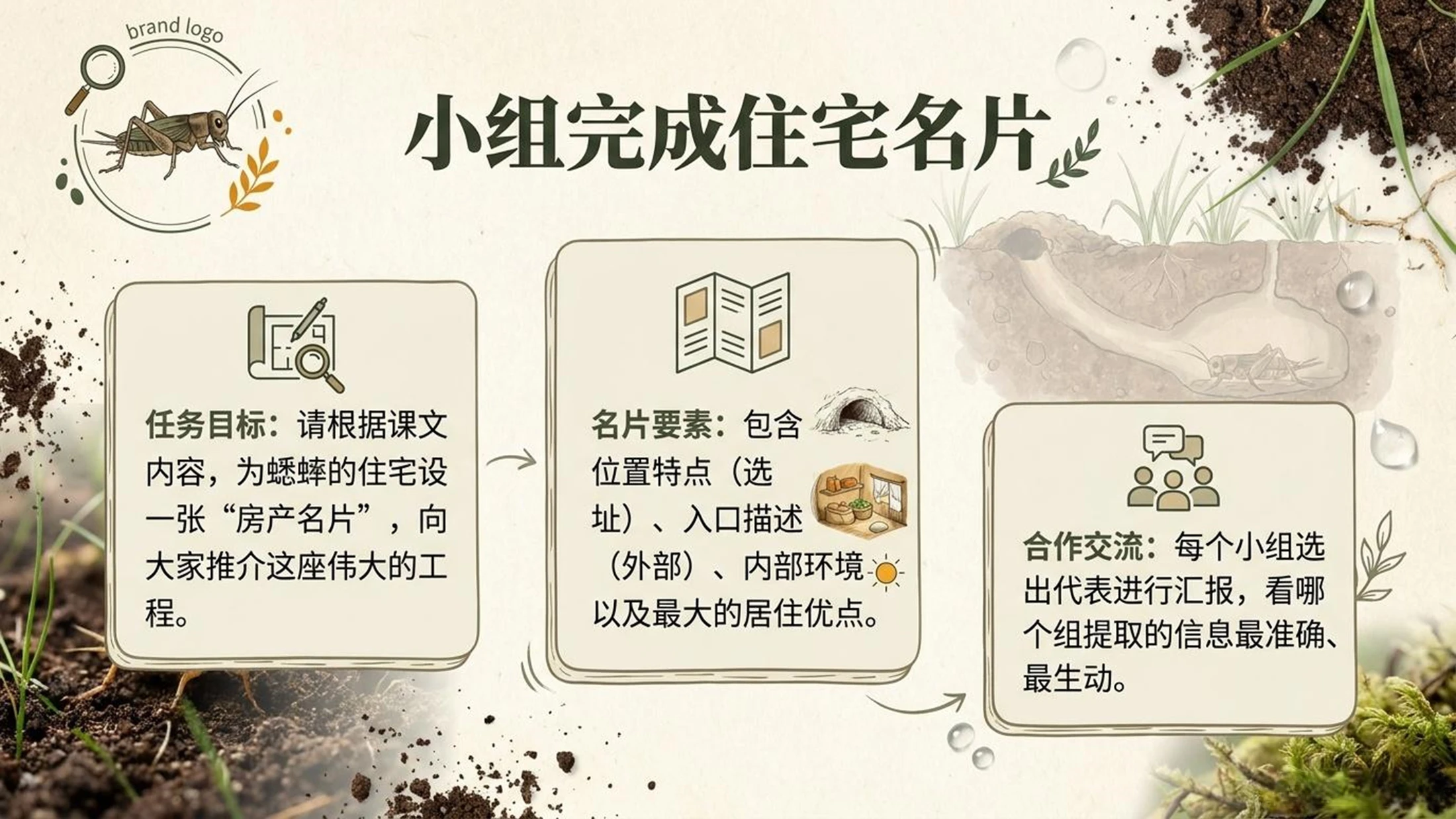 小学六年制统编教材系列课件——四年级语文上册第11课（1）：蟋蟀的住宅 - 预览图12
