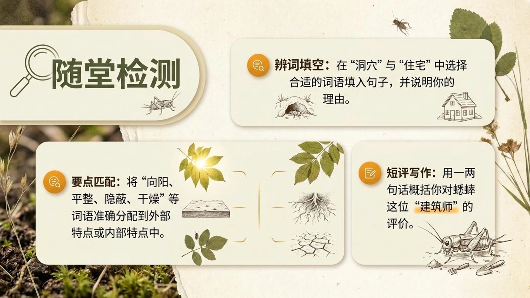 小学六年制统编教材系列课件——四年级语文上册第11课（1）：蟋蟀的住宅 - 预览图15