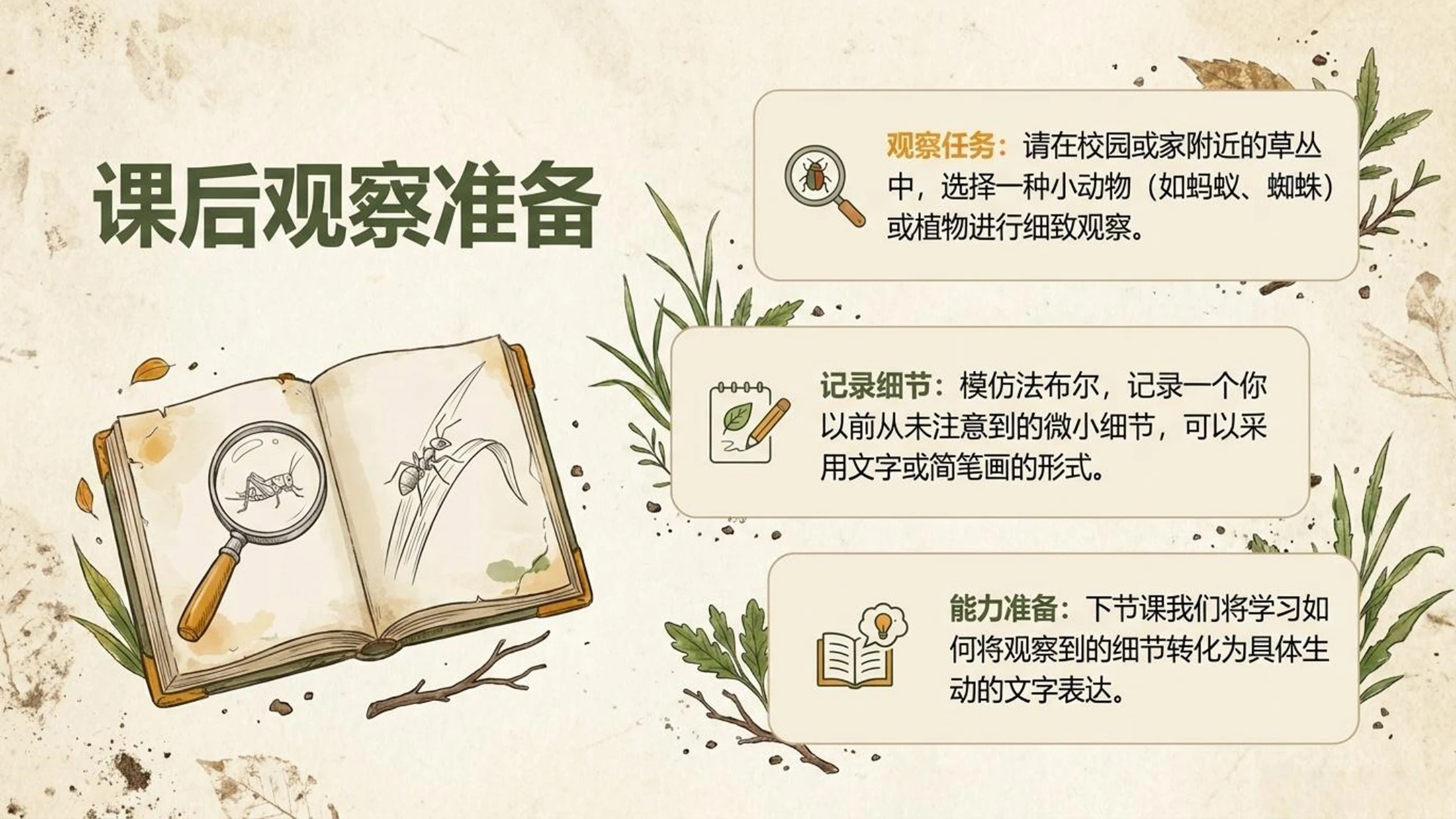 小学六年制统编教材系列课件——四年级语文上册第11课（1）：蟋蟀的住宅 - 预览图16