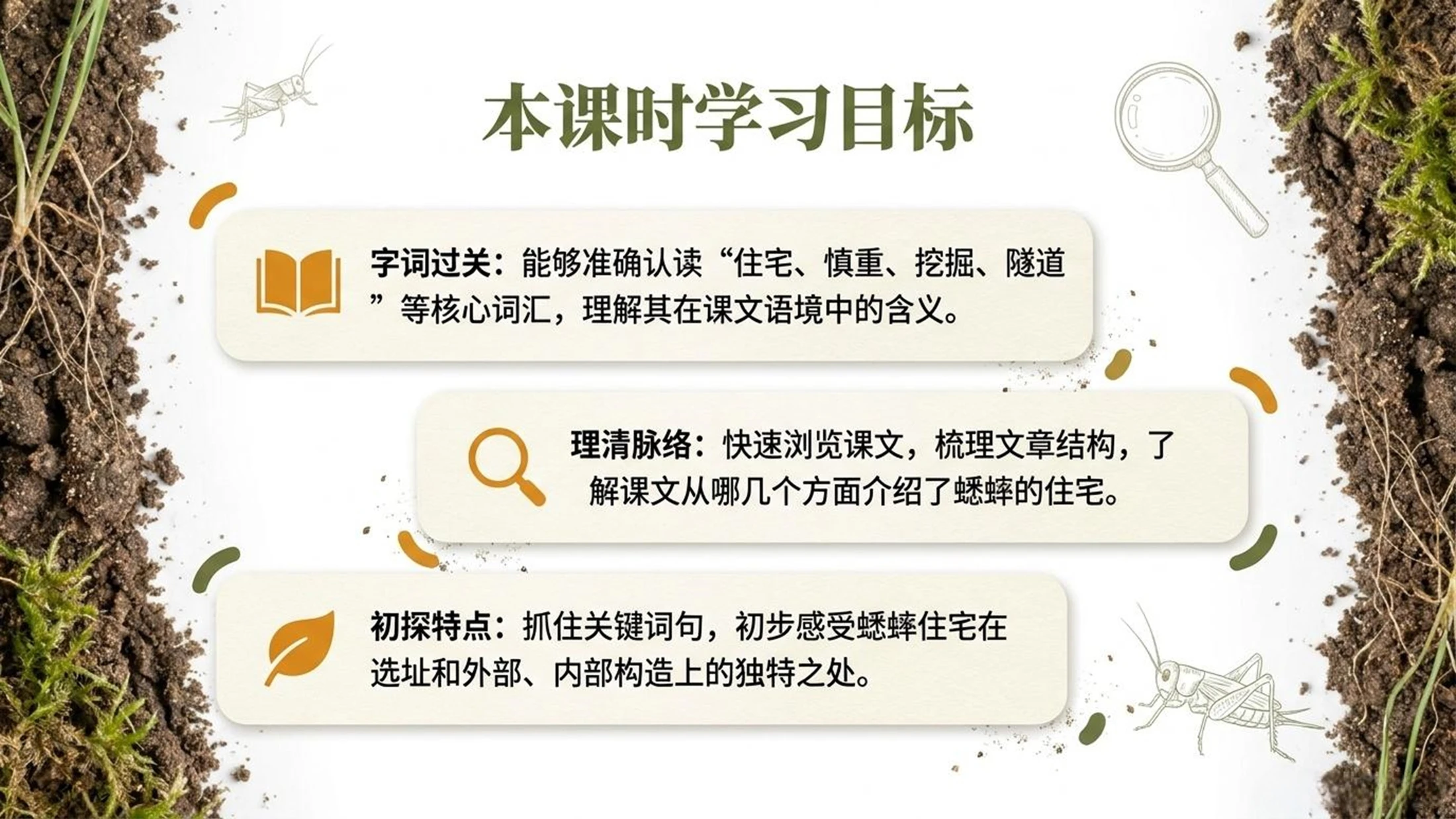 小学六年制统编教材系列课件——四年级语文上册第11课（1）：蟋蟀的住宅 - 预览图3
