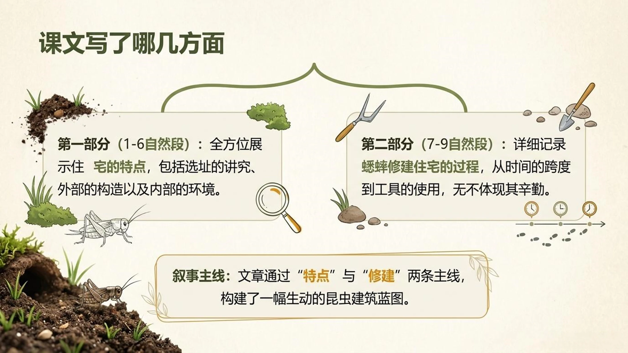 小学六年制统编教材系列课件——四年级语文上册第11课（1）：蟋蟀的住宅 - 预览图6