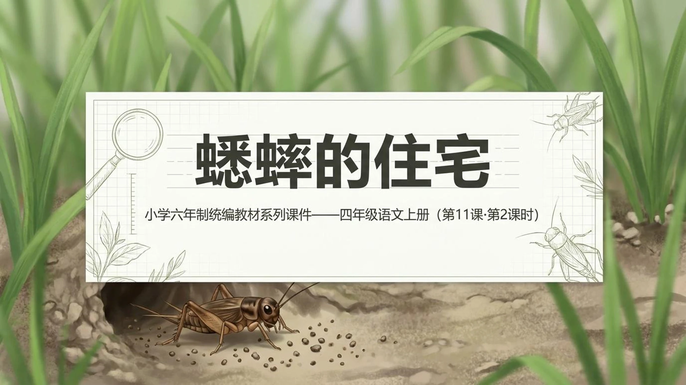 小学六年制统编教材系列课件——四年级语文上册第11课（2）：蟋蟀的住宅 - 预览图1