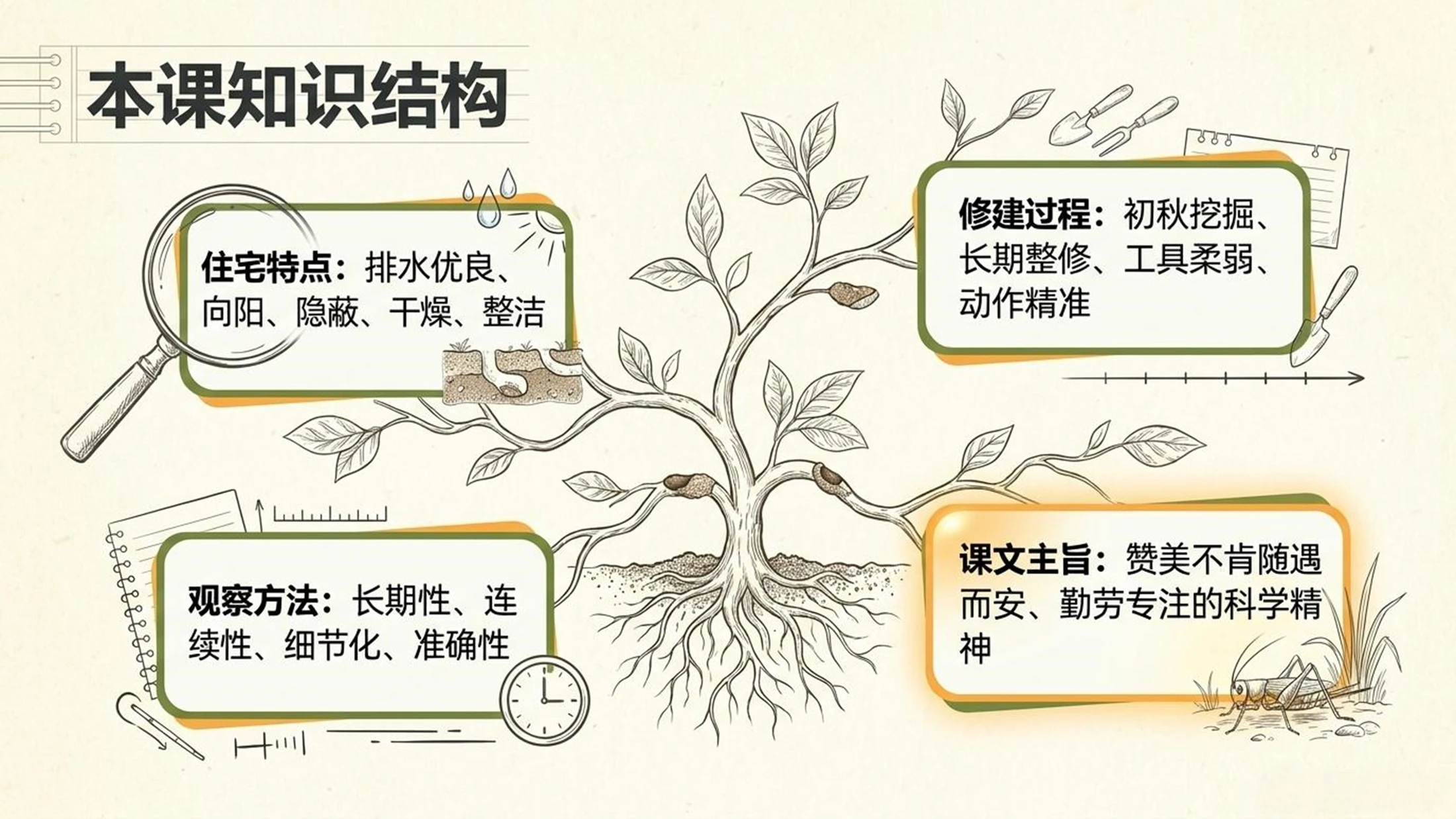 小学六年制统编教材系列课件——四年级语文上册第11课（2）：蟋蟀的住宅 - 预览图15