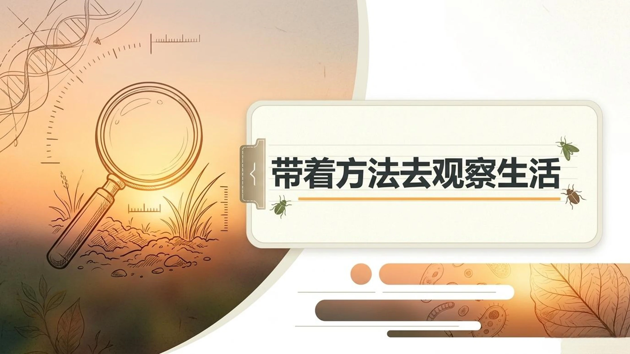 小学六年制统编教材系列课件——四年级语文上册第11课（2）：蟋蟀的住宅 - 预览图18
