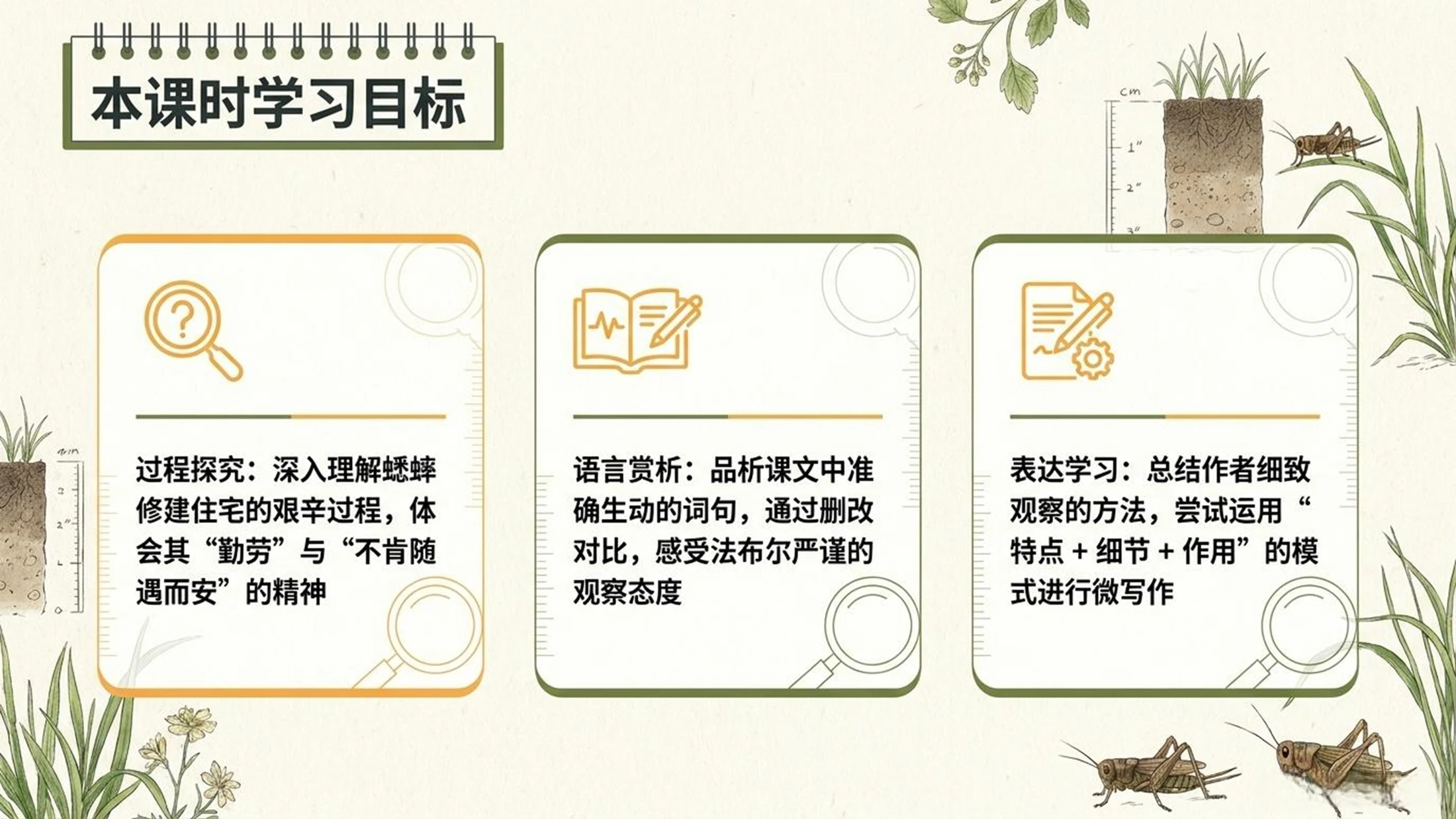 小学六年制统编教材系列课件——四年级语文上册第11课（2）：蟋蟀的住宅 - 预览图3