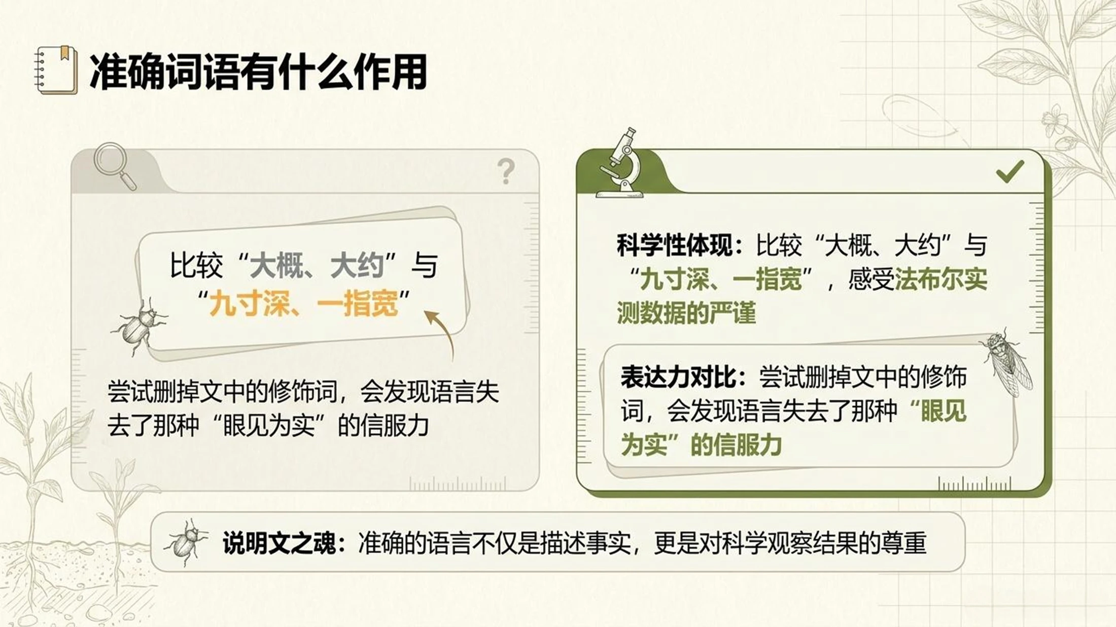 小学六年制统编教材系列课件——四年级语文上册第11课（2）：蟋蟀的住宅 - 预览图8