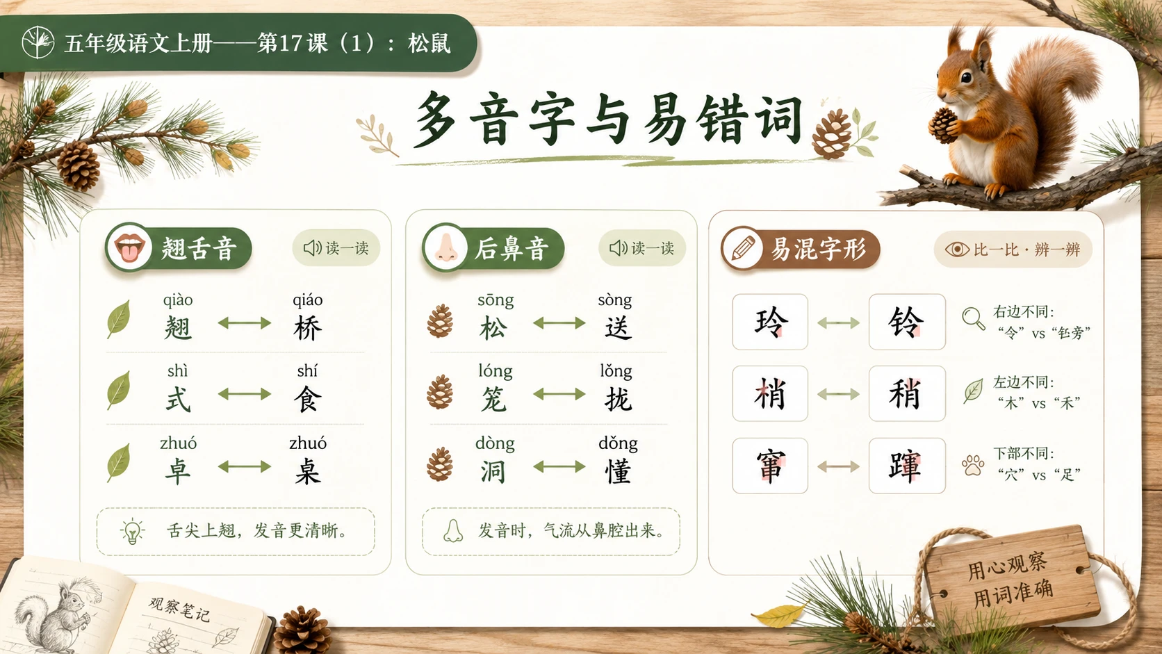 小学六年制统编教材系列课件——五年级语文上册第17课（1）：松鼠 - 预览图5