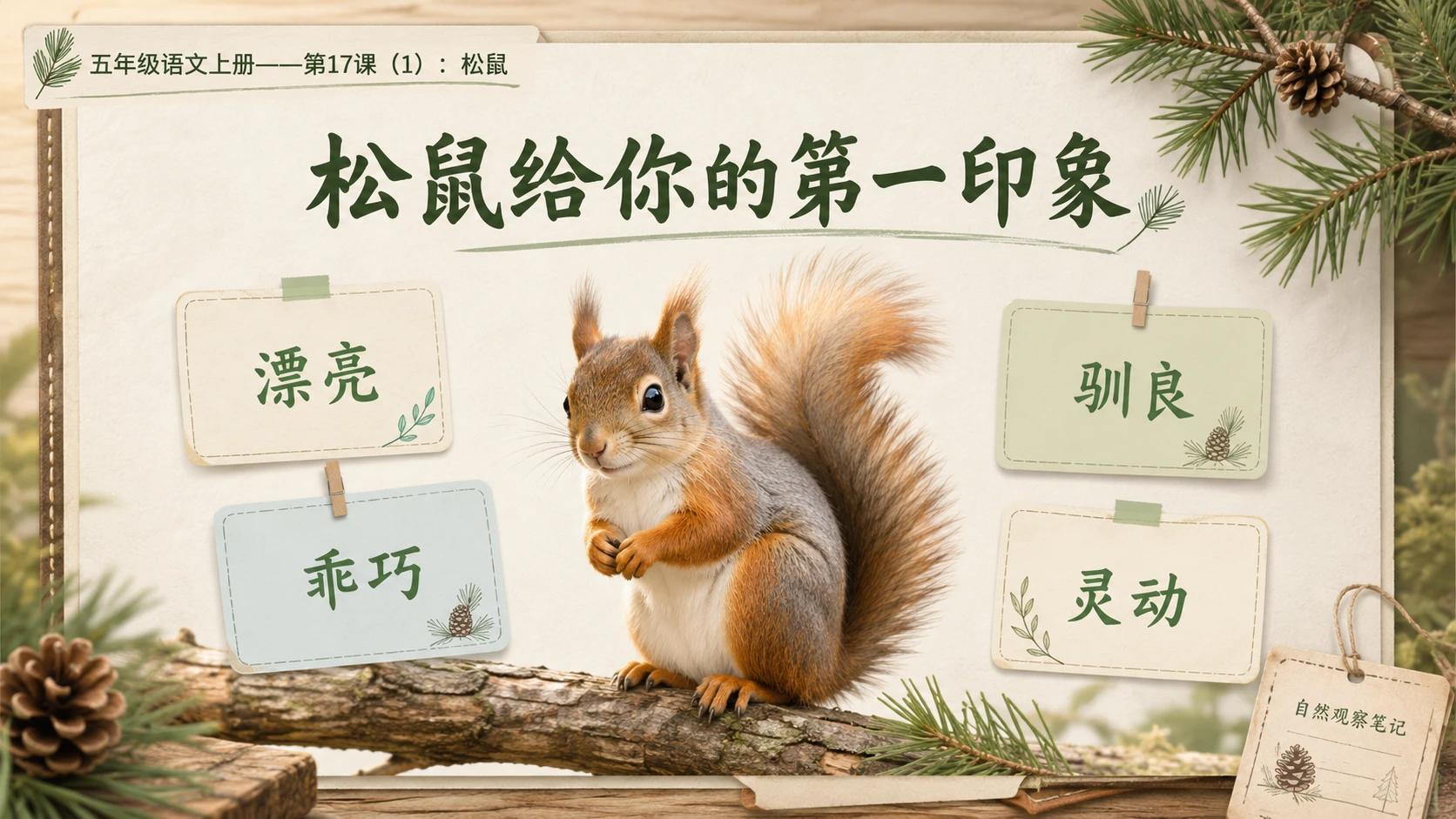 小学六年制统编教材系列课件——五年级语文上册第17课（1）：松鼠 - 预览图8