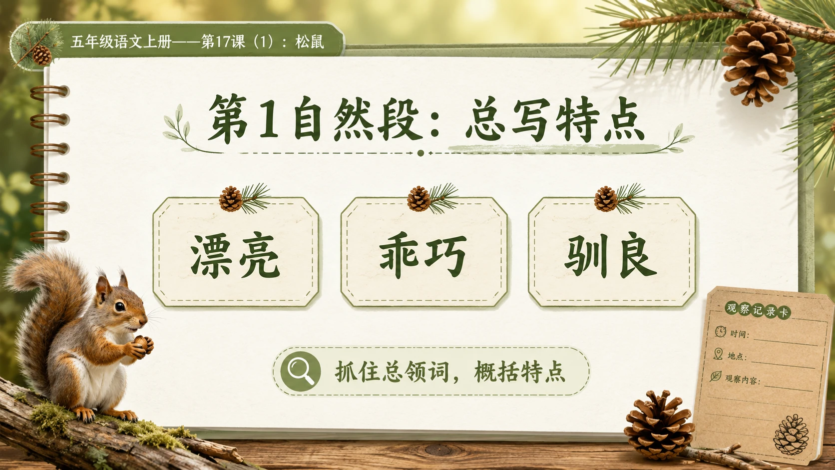 小学六年制统编教材系列课件——五年级语文上册第17课（1）：松鼠 - 预览图10