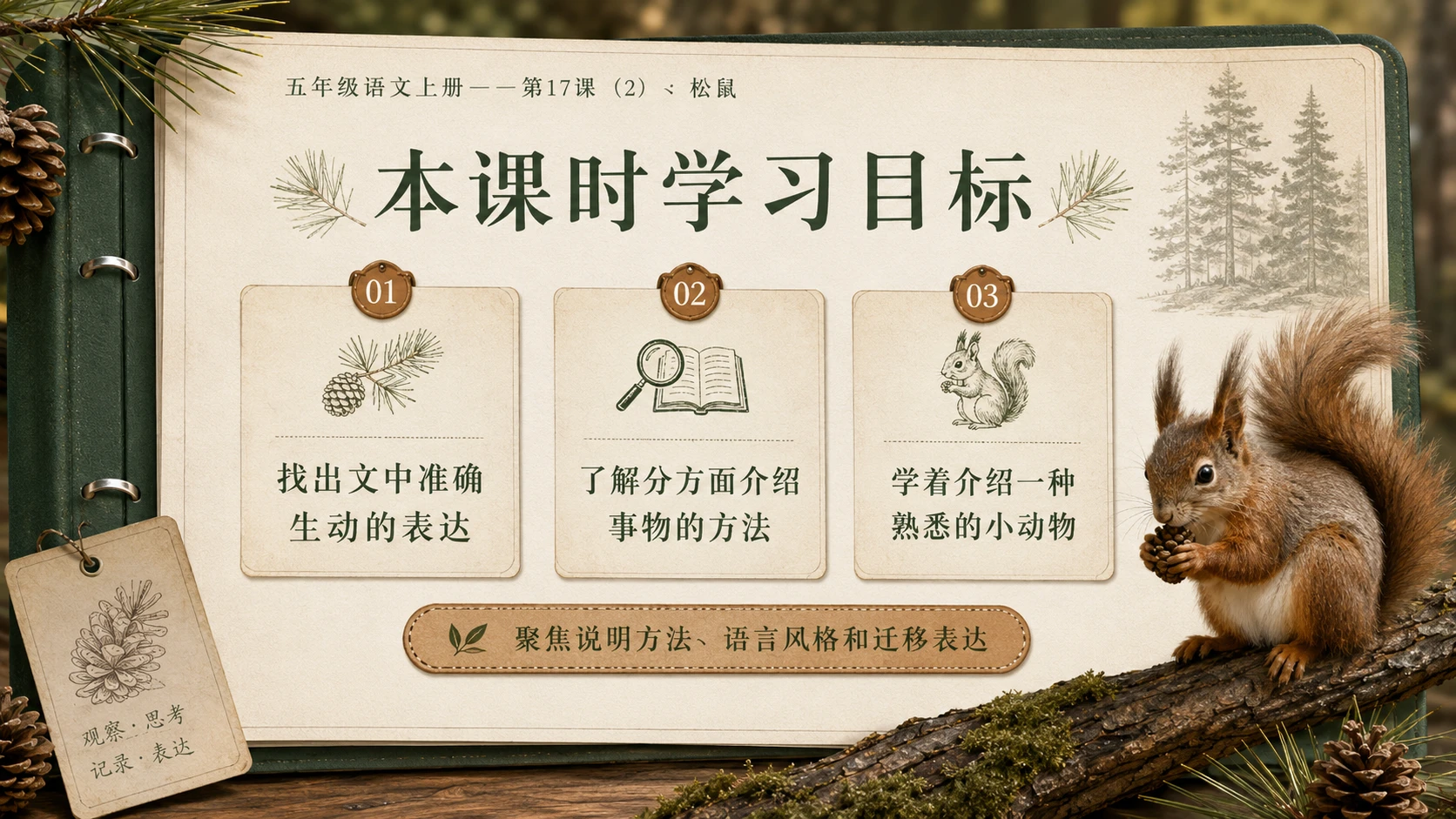 小学六年制统编教材系列课件——五年级语文上册第17课（2）：松鼠 - 预览图3
