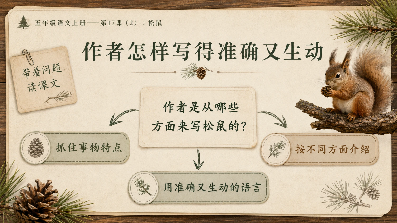 小学六年制统编教材系列课件——五年级语文上册第17课（2）：松鼠 - 预览图4