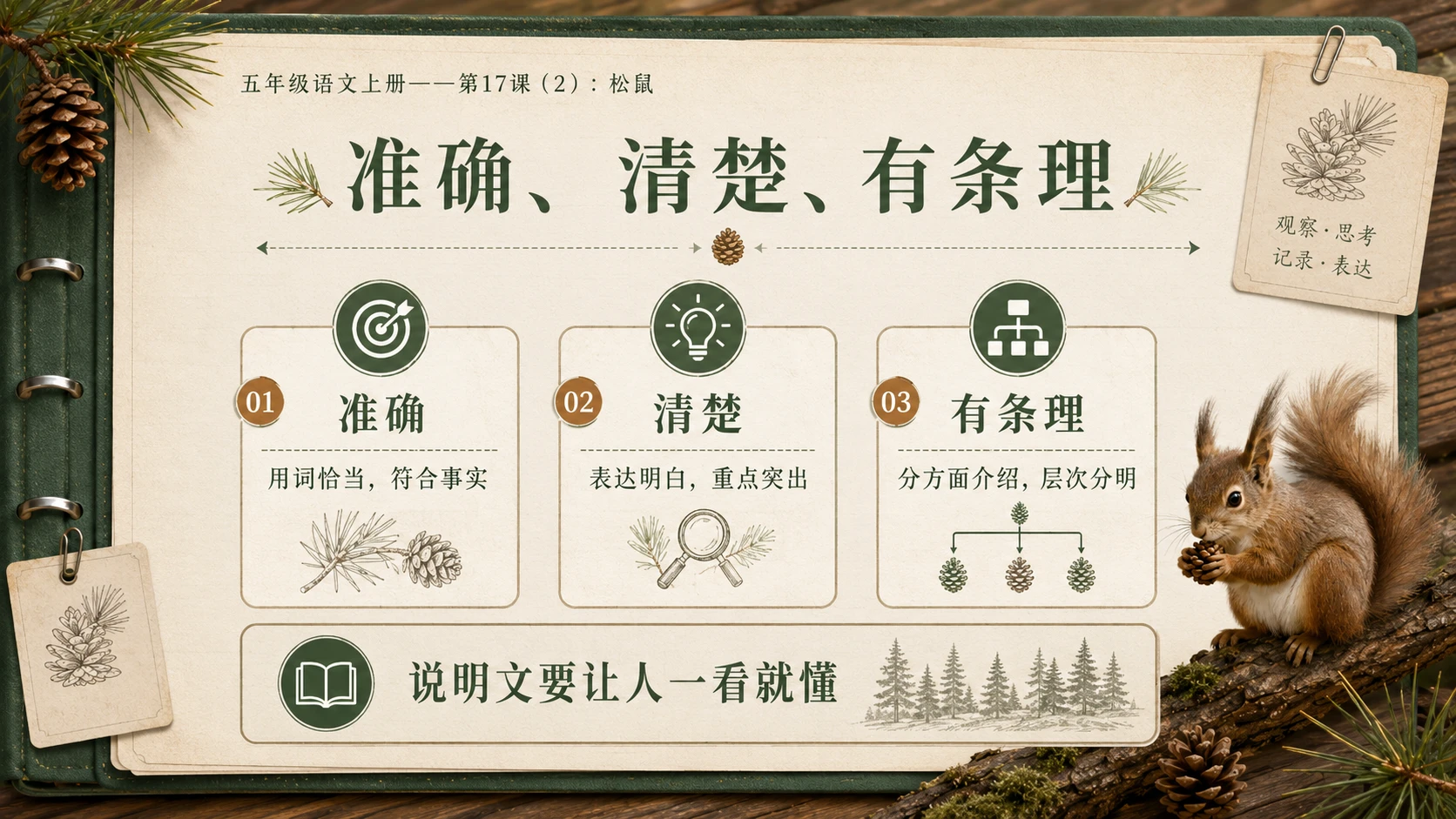 小学六年制统编教材系列课件——五年级语文上册第17课（2）：松鼠 - 预览图9