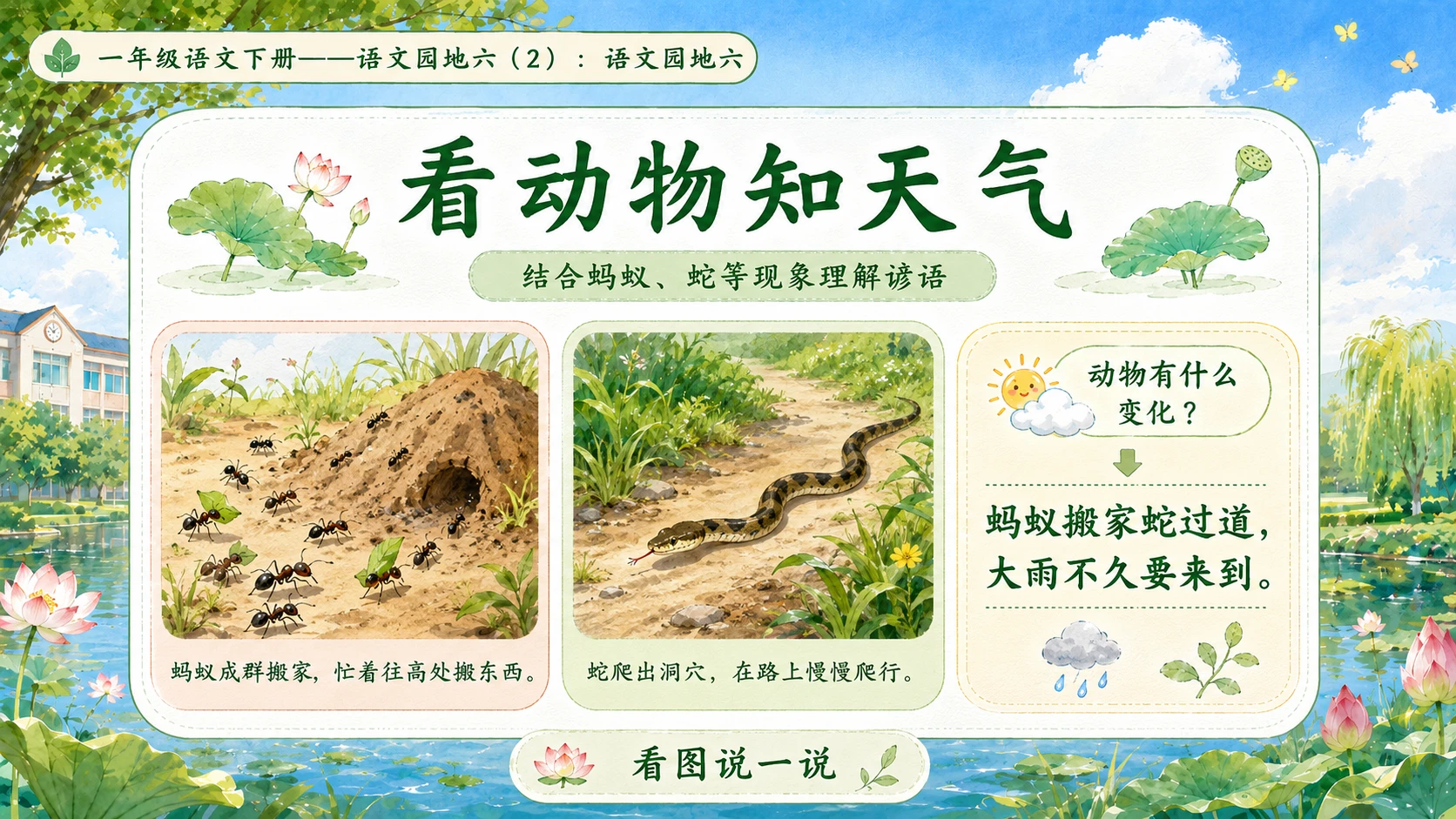 小学六年制统编教材系列课件——一年级语文下册：语文园地六（2） - 预览图11