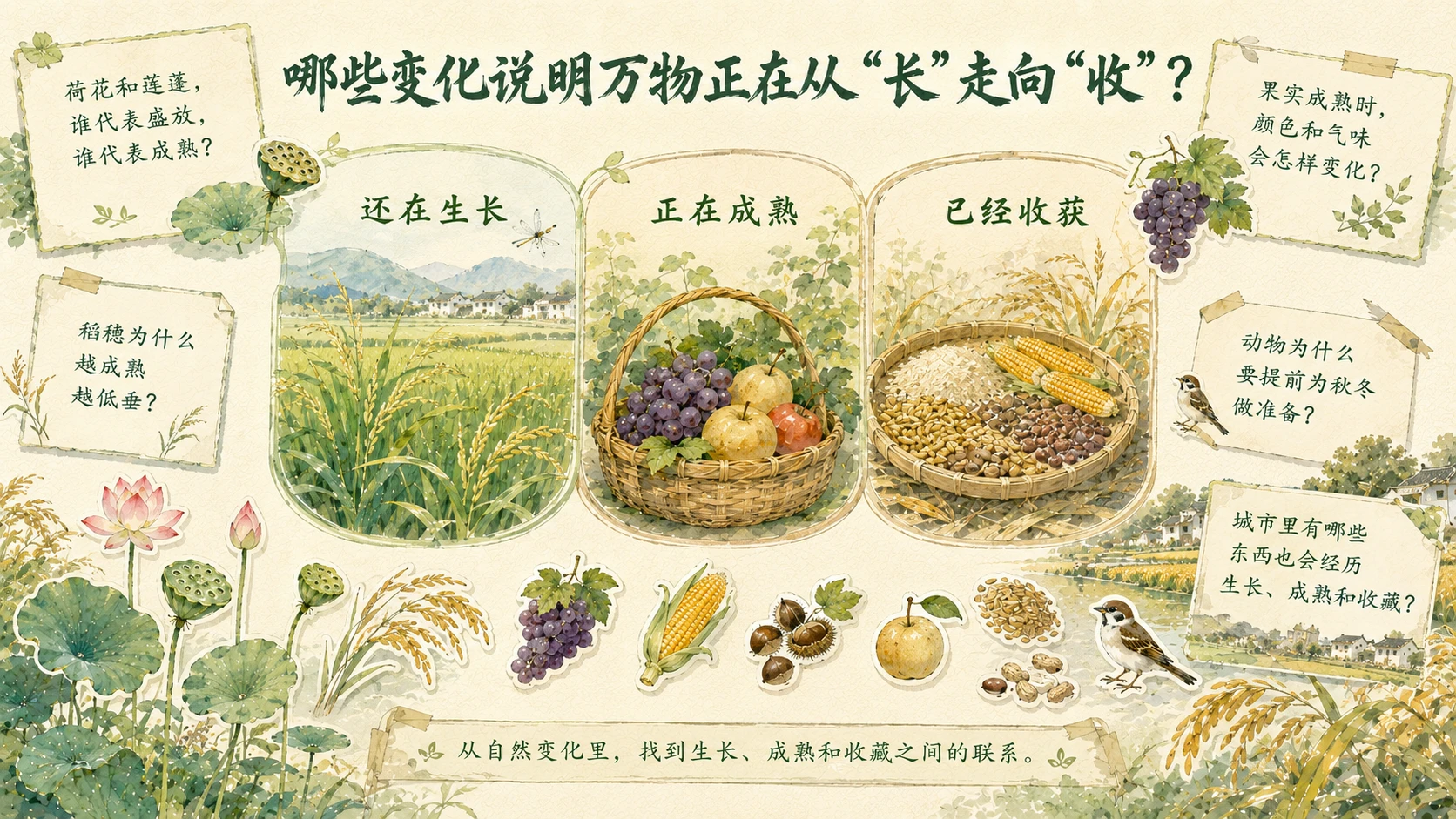 节气有知·处暑｜天地为什么开始从“长”转向“收”？ - 预览图9
