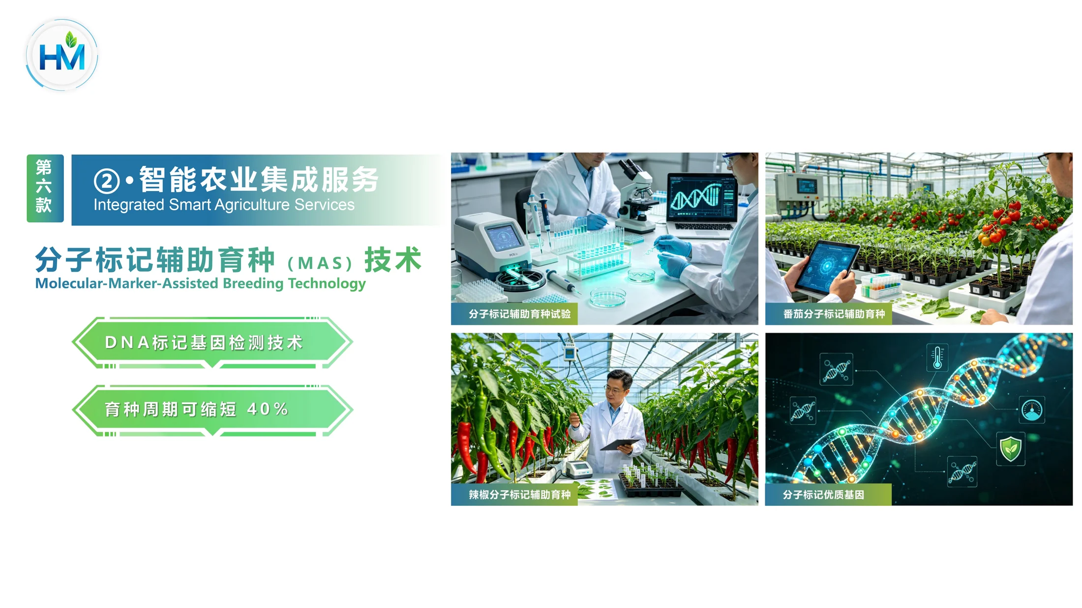 华盟科技公司简介PPT - 预览图14