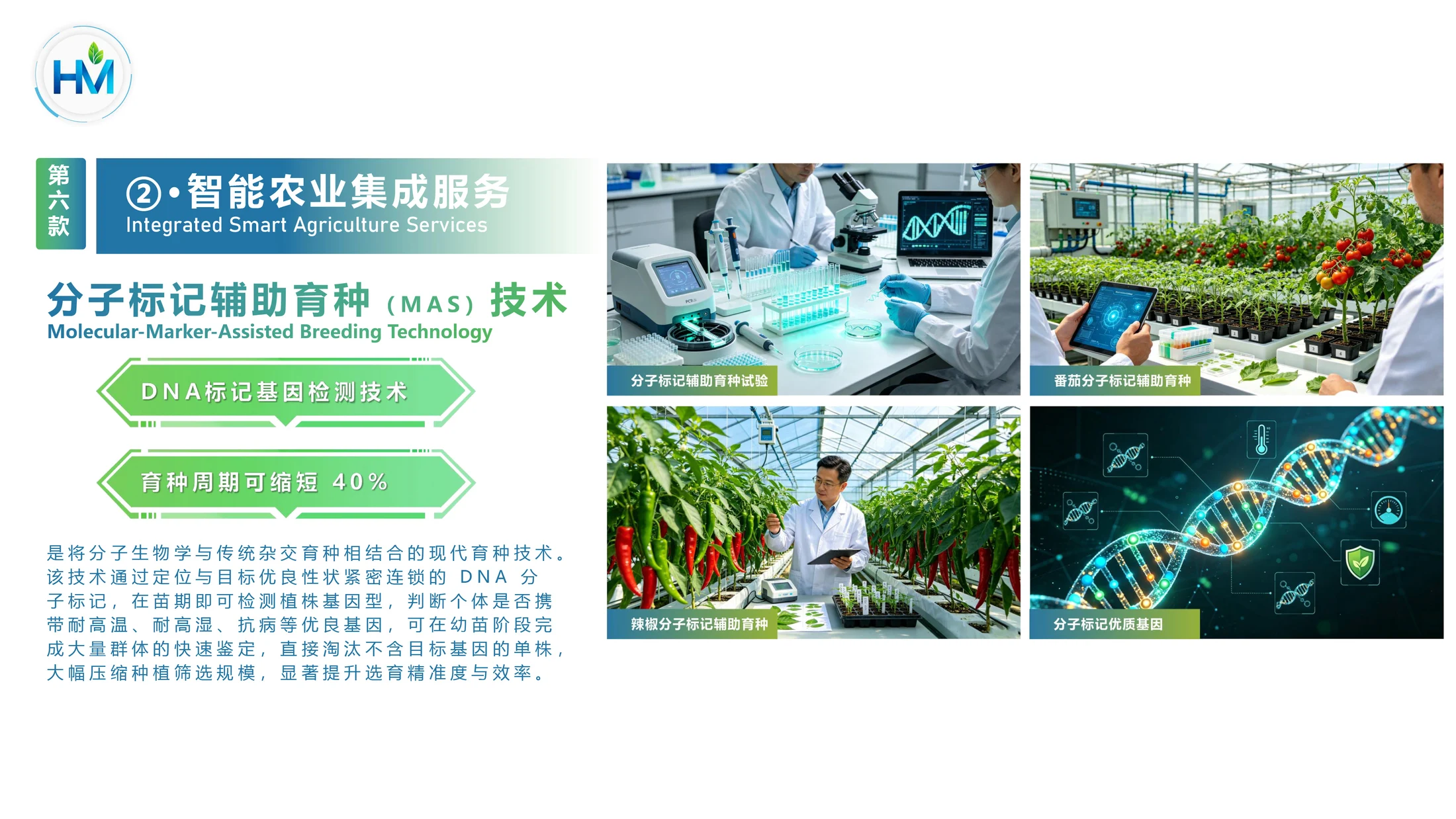 华盟科技公司简介 - 预览图14