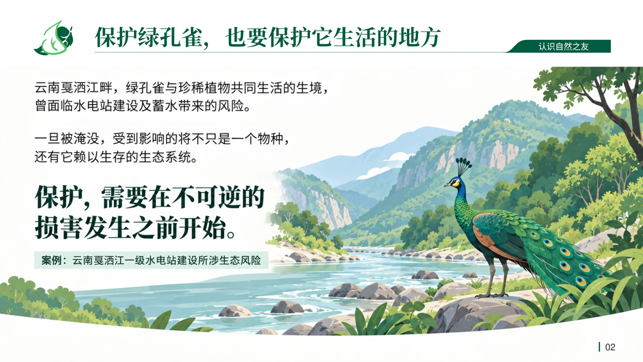自然之友：让关切成为行动｜环保公益组织品牌故事PPT - 预览图5