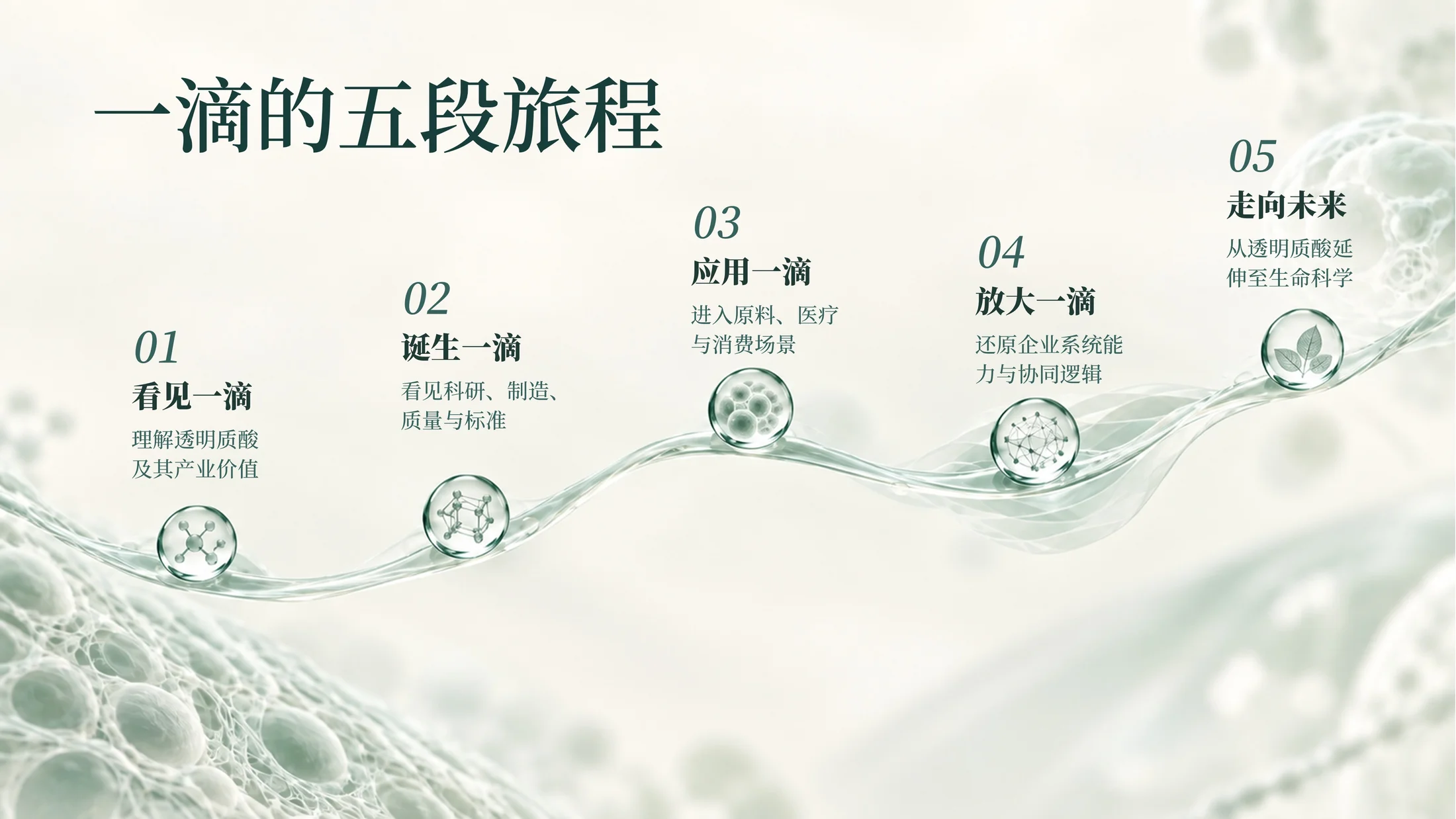 华熙生物｜一滴透明质酸的旅程（可编辑企业介绍PPT） - 预览图3