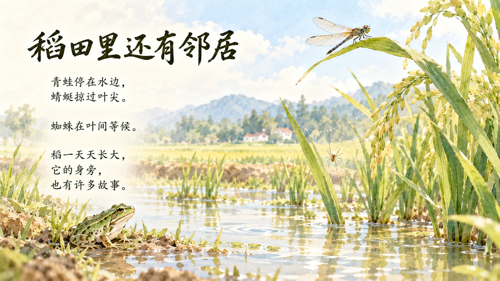 一生·稻｜自然绘本风生命故事PPT - 预览图4