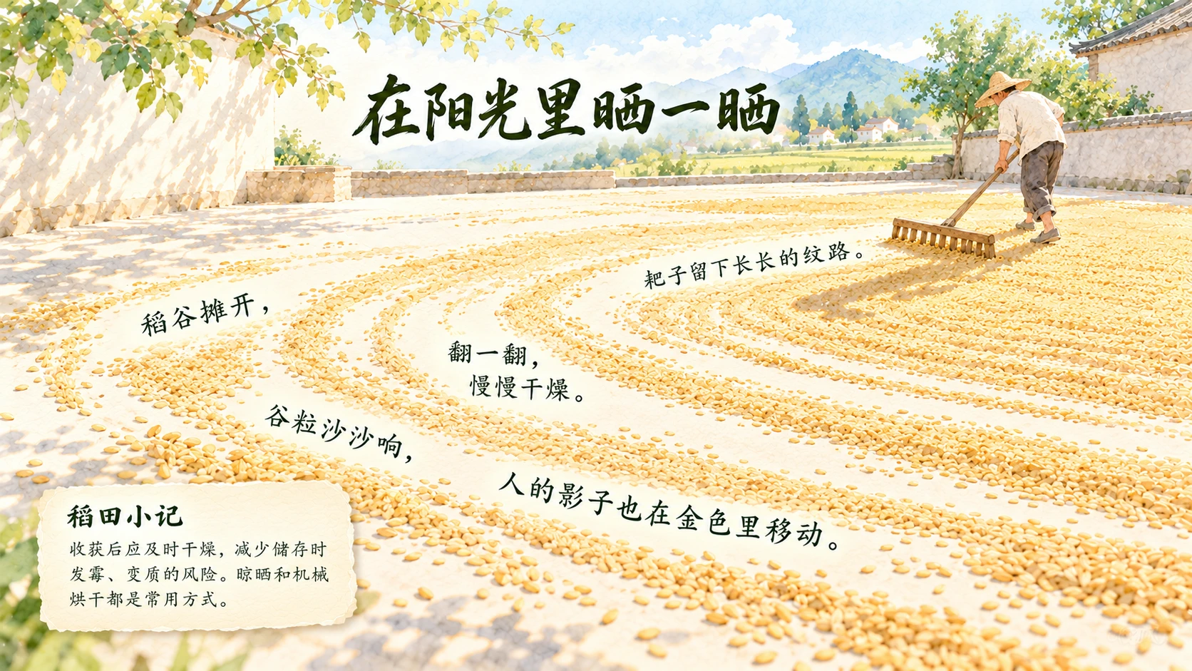 一生·稻｜自然绘本风生命故事PPT - 预览图5