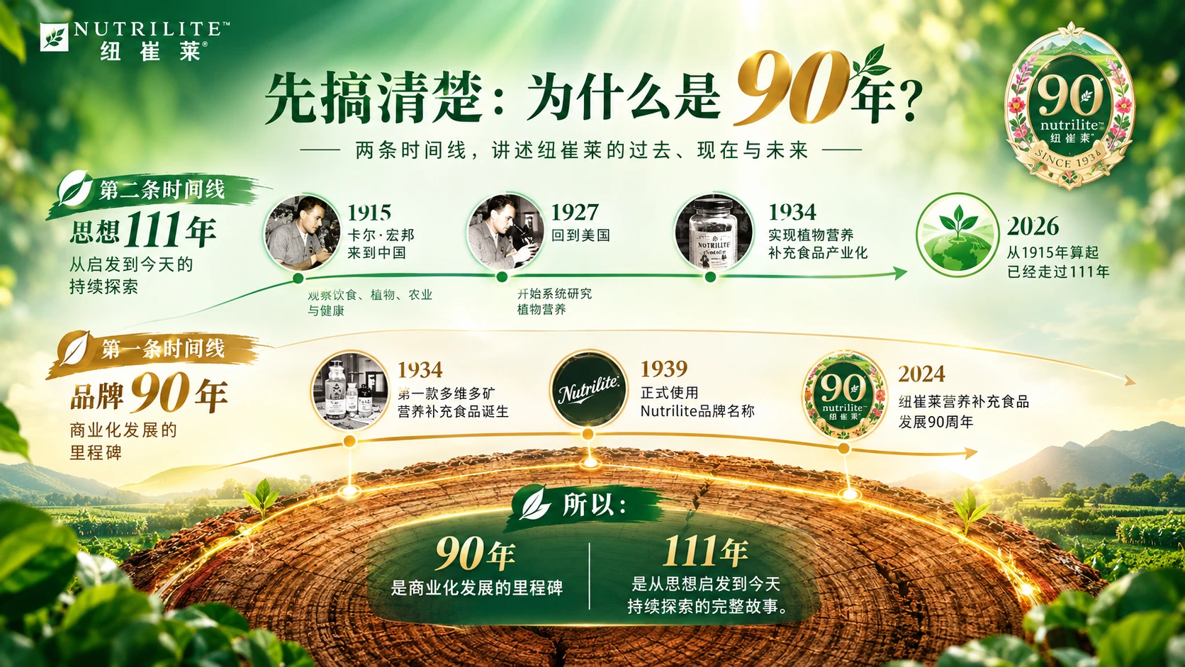 发展年轮
