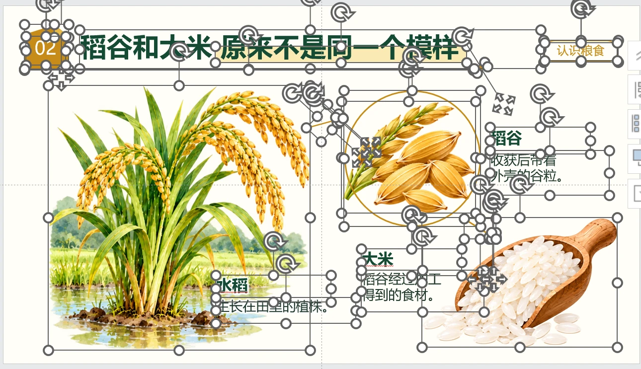 世界粮食日科普PPT｜餐桌上的大世界 - 预览图10