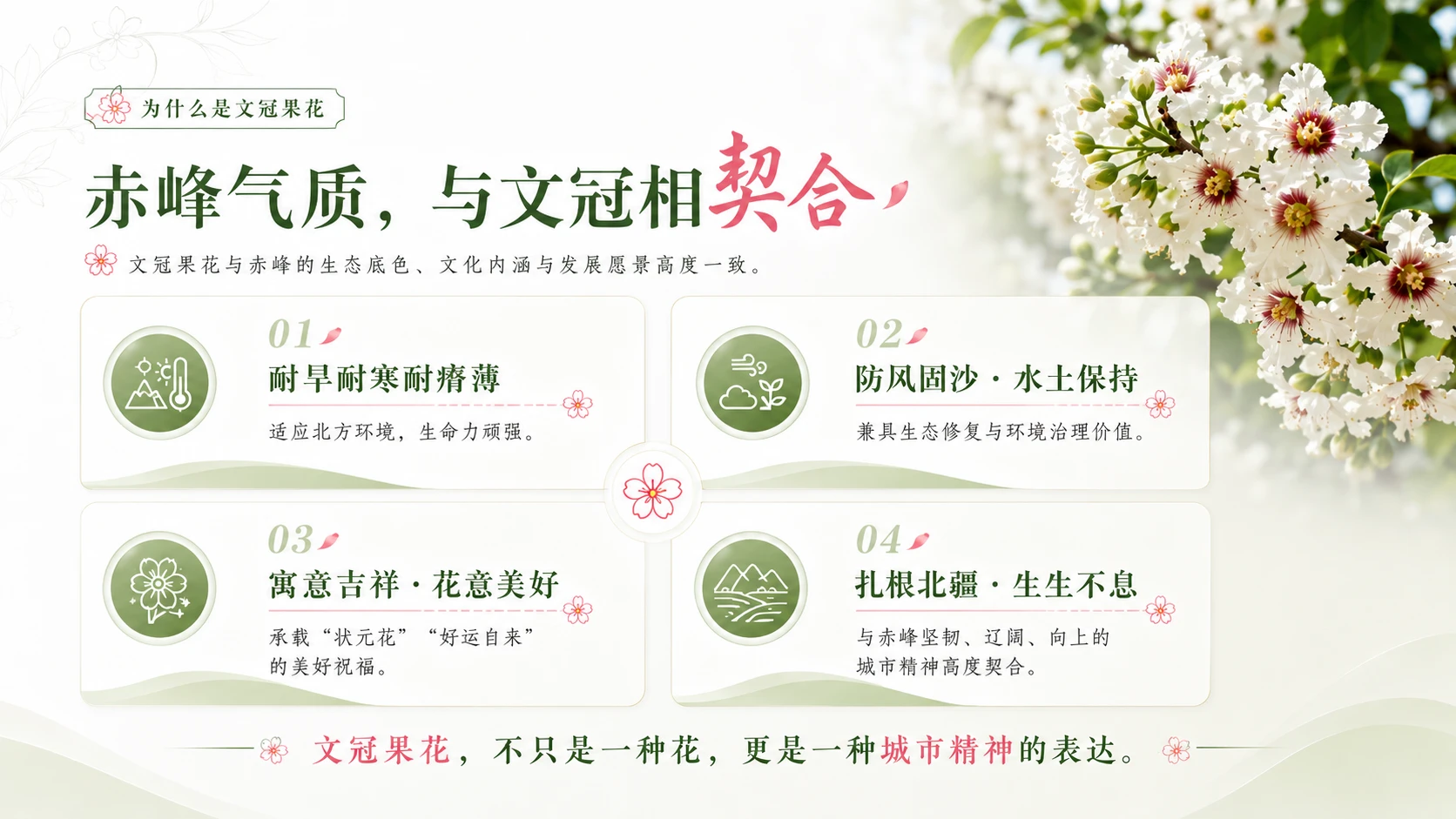 文冠绽芳华・生态耀敖汉——敖汉旗文冠赏花季暨文冠产业推广活动推介 - 预览图2