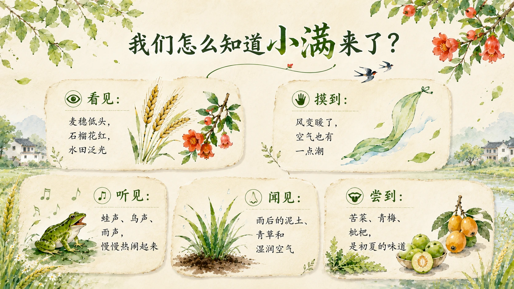 节气有知·小满｜夏天为什么只满了一点点？ - 预览图4