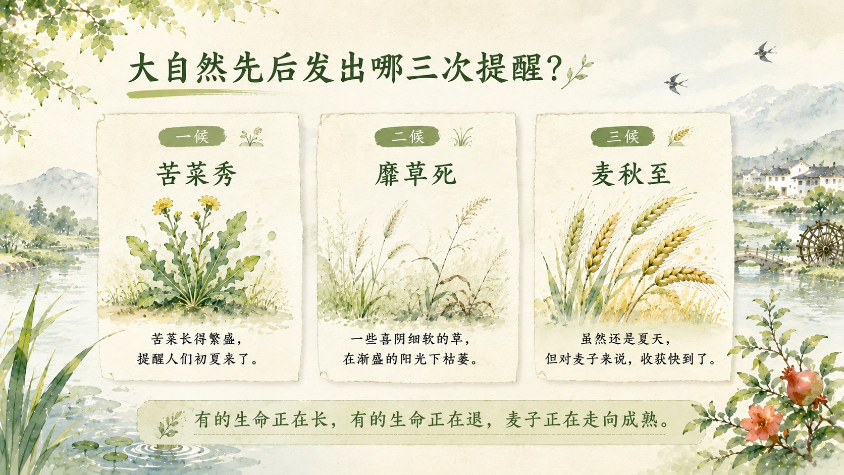 节气有知·小满｜夏天为什么只满了一点点？ - 预览图6